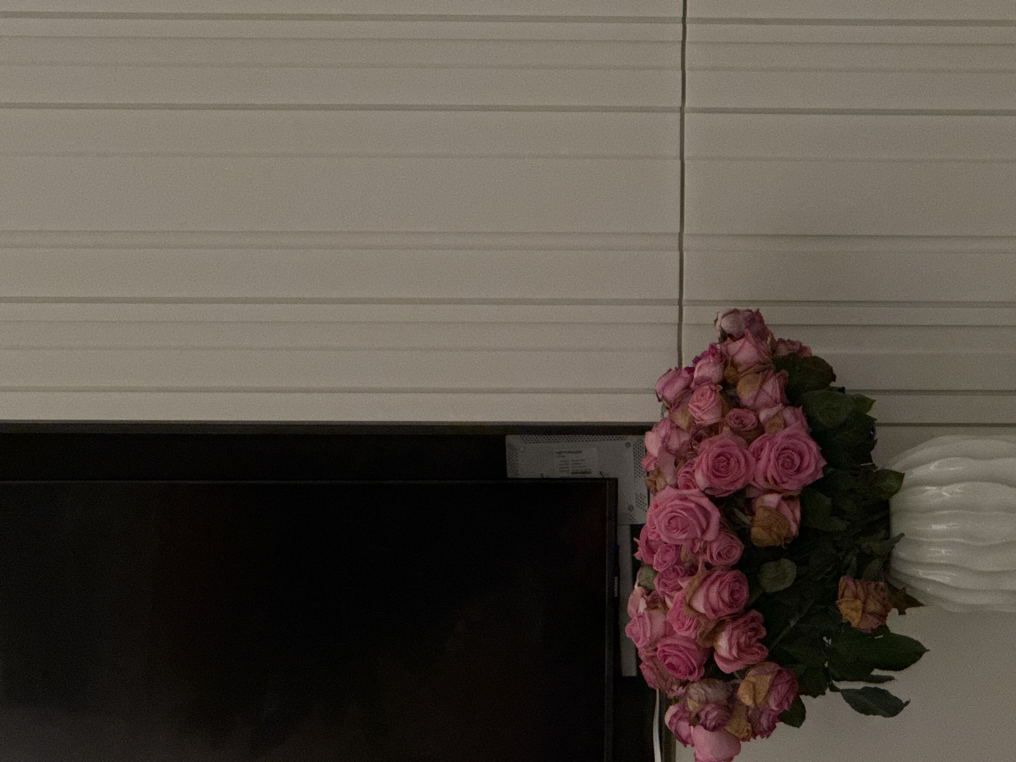 A medium shot of a room features a dark television on the lower left. To the right of the television, a vase holding pink roses stands against a wall with horizontal lines. A decorative white object is partially visible to the right of the roses.