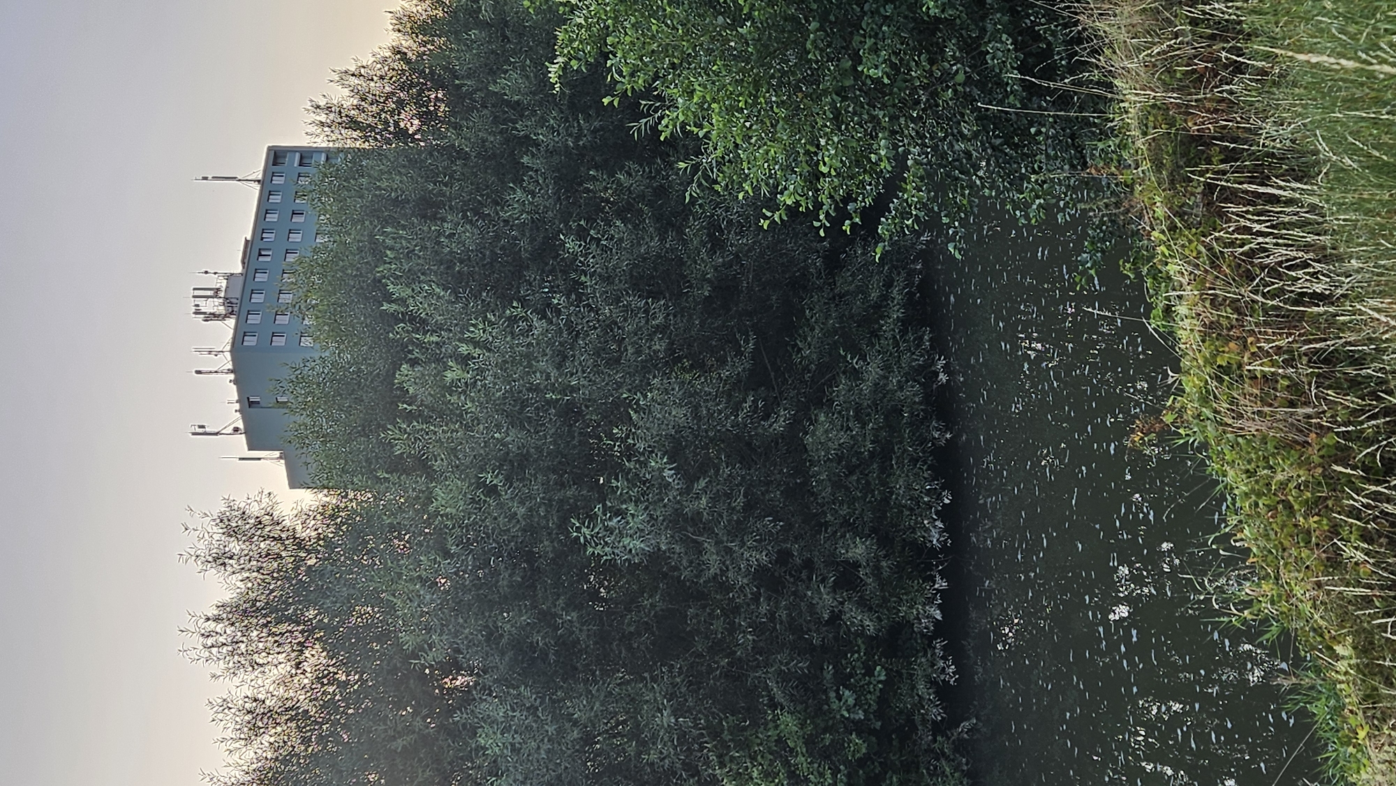 The image captures a serene natural scene juxtaposed with a modern urban structure. In the foreground, a tranquil body of water, likely a river or canal, reflects the overcast sky and surrounding foliage. The water's surface is dotted with small, light-colored flecks, possibly leaves or debris. The banks of the water are lined with lush, green vegetation, including dense trees and tall grasses.
Dominating the background is a tall, rectangular building with a light blue-green facade. The building has multiple floors, each featuring a row of evenly spaced windows. The rooftop is adorned with several telecommunication antennas, indicating its potential use as a communication hub. The building appears to be situated in an urban or semi-urban environment, with its modern architecture contrasting with the natural landscape. The sky is a pale, hazy hue, suggesting either dawn or dusk. The overall impression is one of a peaceful coexistence between nature and infrastructure. Based on the available information, the building is identified as a residential building located in the city of Prešov, Slovakia.