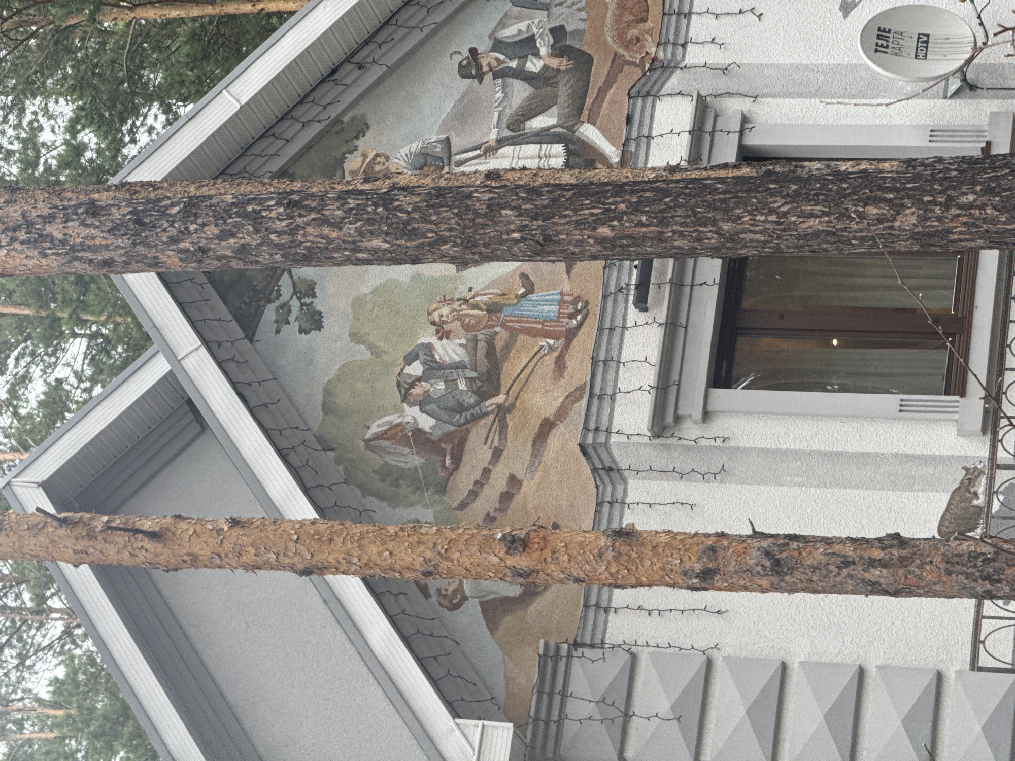The image depicts the facade of a building in Krasnoyarsk, Russia, adorned with a mural. The mural features figures resembling historical characters engaged in various activities. A satellite dish labeled "TELE KAPTА HDTV" is mounted on the wall near a window. String lights are hung along the roofline and wall. The view is partially obstructed by tree trunks and branches in the foreground. A cat is perched on one of the branches near the building's wall.
