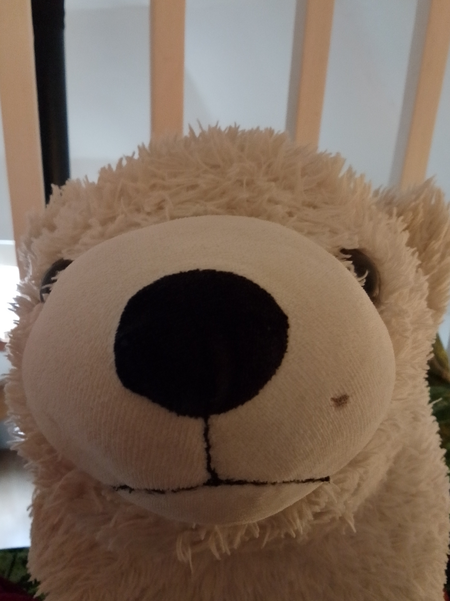 A close-up shot focuses on a plush, beige-colored bear toy. The bear's face is predominantly white with a large, black nose. The fur is soft and fluffy. The background is indistinct, showing vertical, light-colored bars. The location in the city of 1-Go Maya, Russia, is unknown.