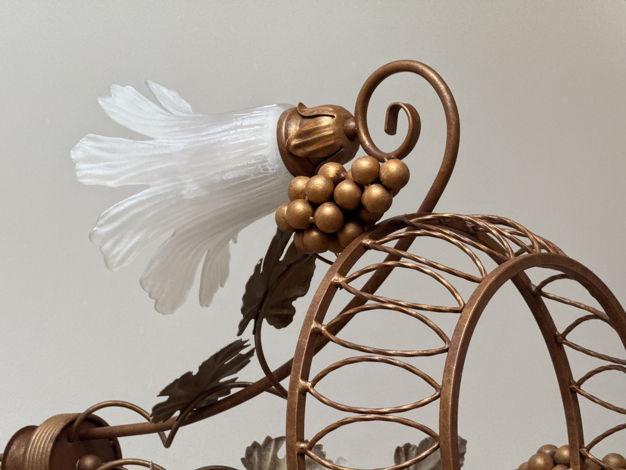 The image shows a close-up of a decorative light fixture, likely a chandelier, with a bronze finish. The fixture features metallic grape clusters and leaf motifs, with a frosted glass shade shaped like a flower. The background is a plain, light-colored wall. The location is Unknown, Unknown. There are no people or actions depicted.