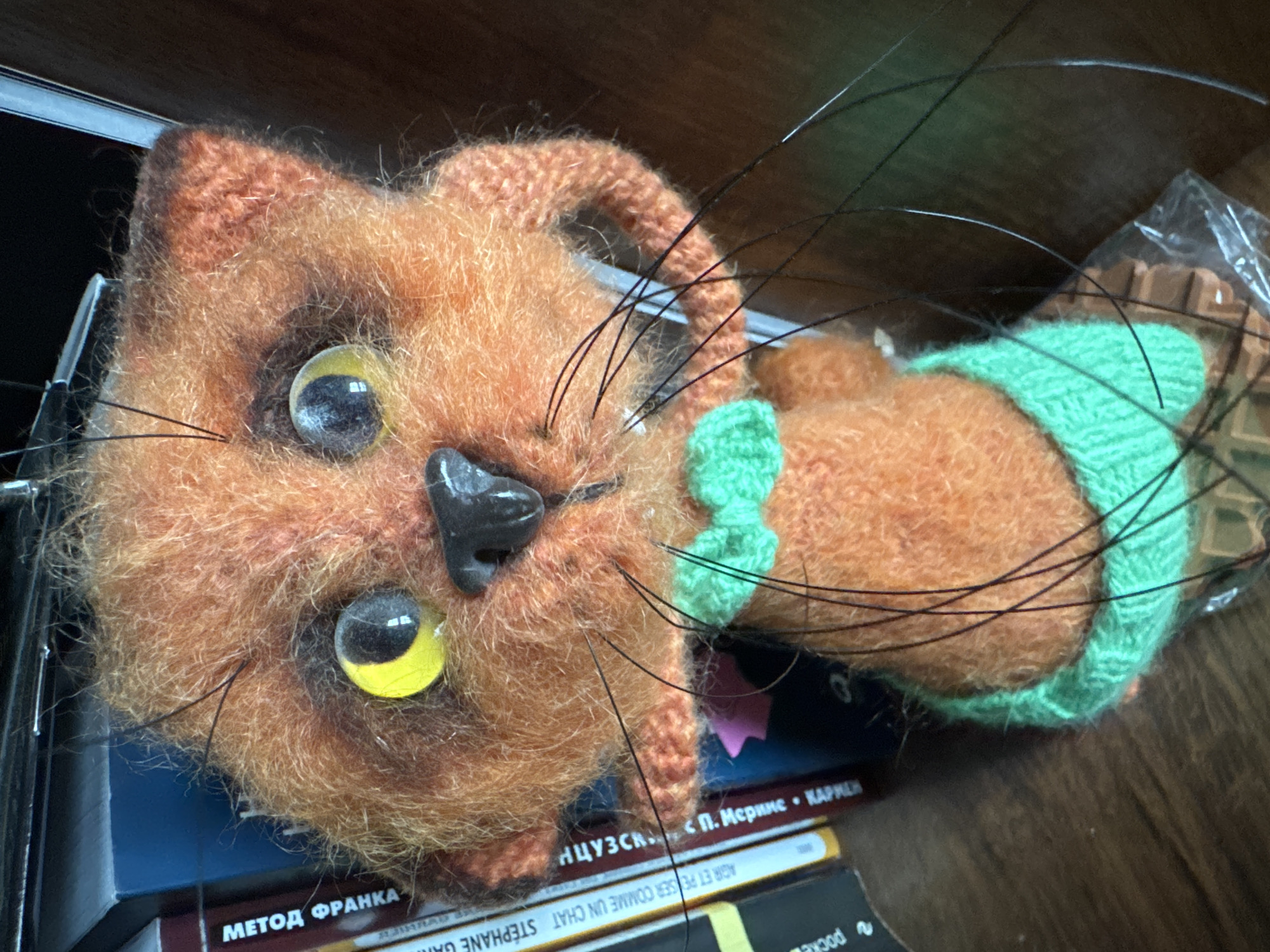 A close-up shot presents a handcrafted, orange, knitted cat toy with a light green collar. The toy has large, clear eyes with yellow highlights and a glossy black nose. Long, black whiskers extend from its face. The toy rests on a stack of books with Russian and French titles. The location is unknown and cannot be determined from the image. The city of Steklyannyi, Russia is unrelated to this image.