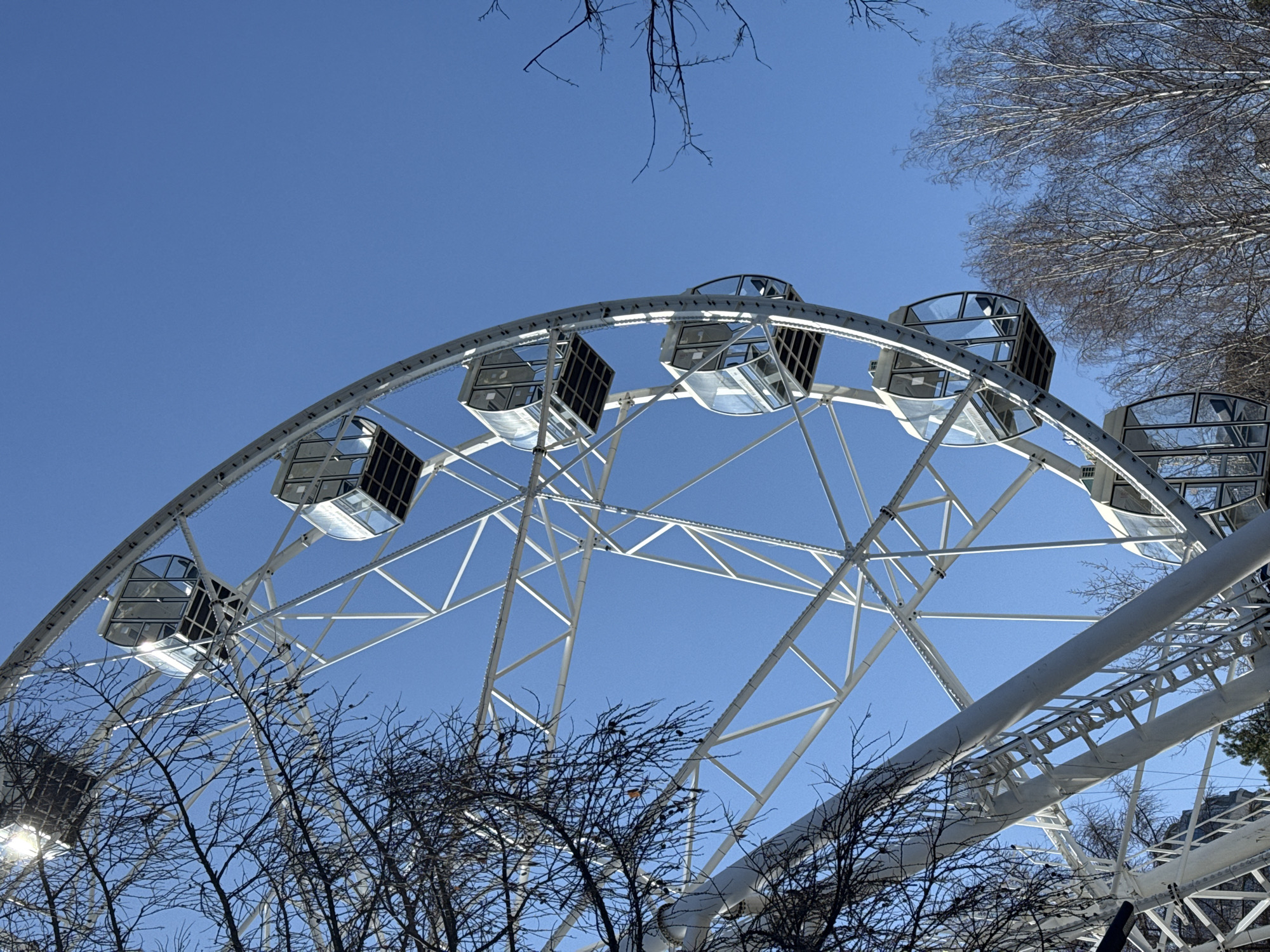 The image captures a partial view of a white Ferris wheel against a clear blue sky. The wheel features enclosed gondolas with reflective surfaces. Bare tree branches are visible in the foreground, partially obscuring the lower portion of the wheel. The location is in Yekaterinburg, Russia.