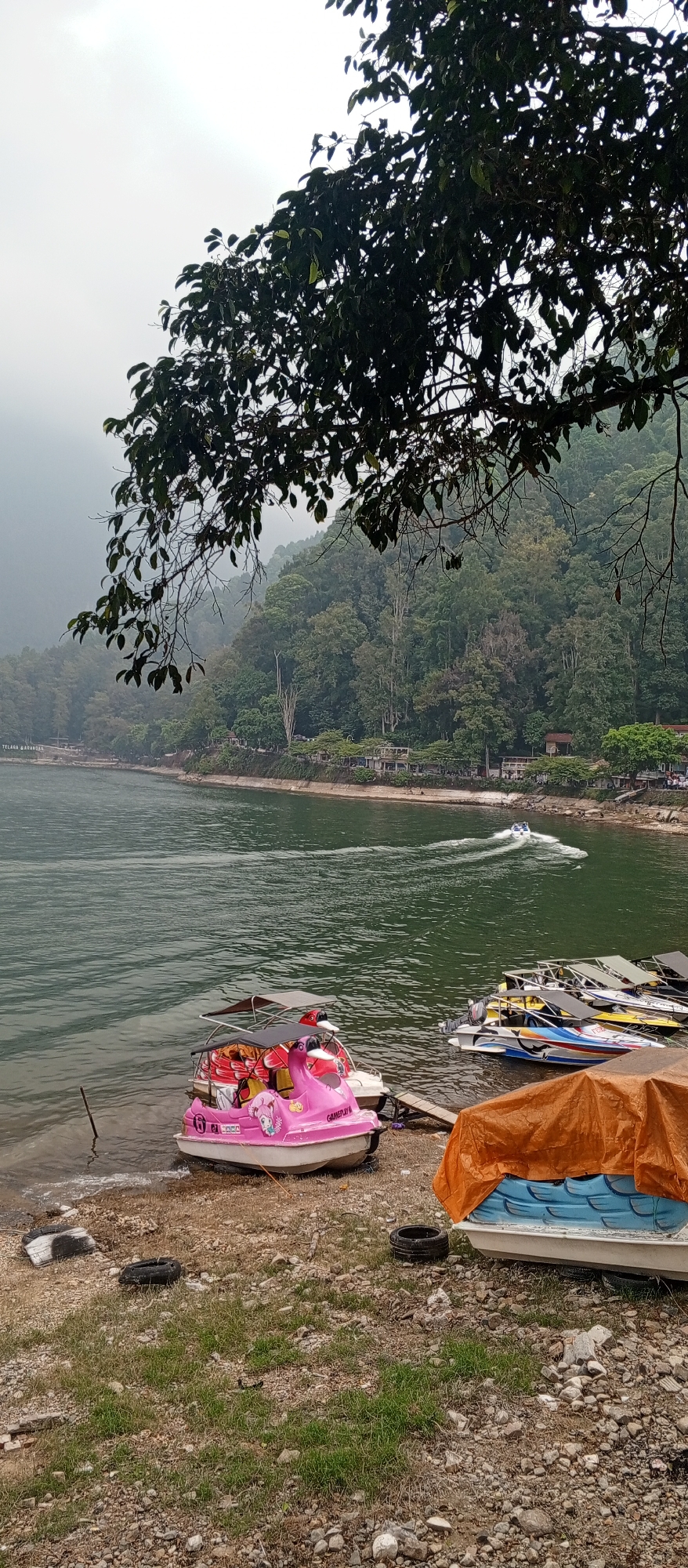 The image depicts a serene lakeside scene in Sarangan, Indonesia. The foreground features a rocky shore with scattered patches of grass and several tires. A pink swan-shaped paddle boat, with two people visible inside, is partially submerged at the water's edge. To the right, other boats are moored, some covered with an orange tarp. The water of Lake Sarangan is calm, with a jet ski creating a wake in the distance. The background is dominated by a lush, tree-covered hillside, indicative of the natural landscape surrounding the lake. The sky is overcast, casting a diffused light over the scene. A sign, partially visible on the left bank, reads "Telaga Sarangan."
