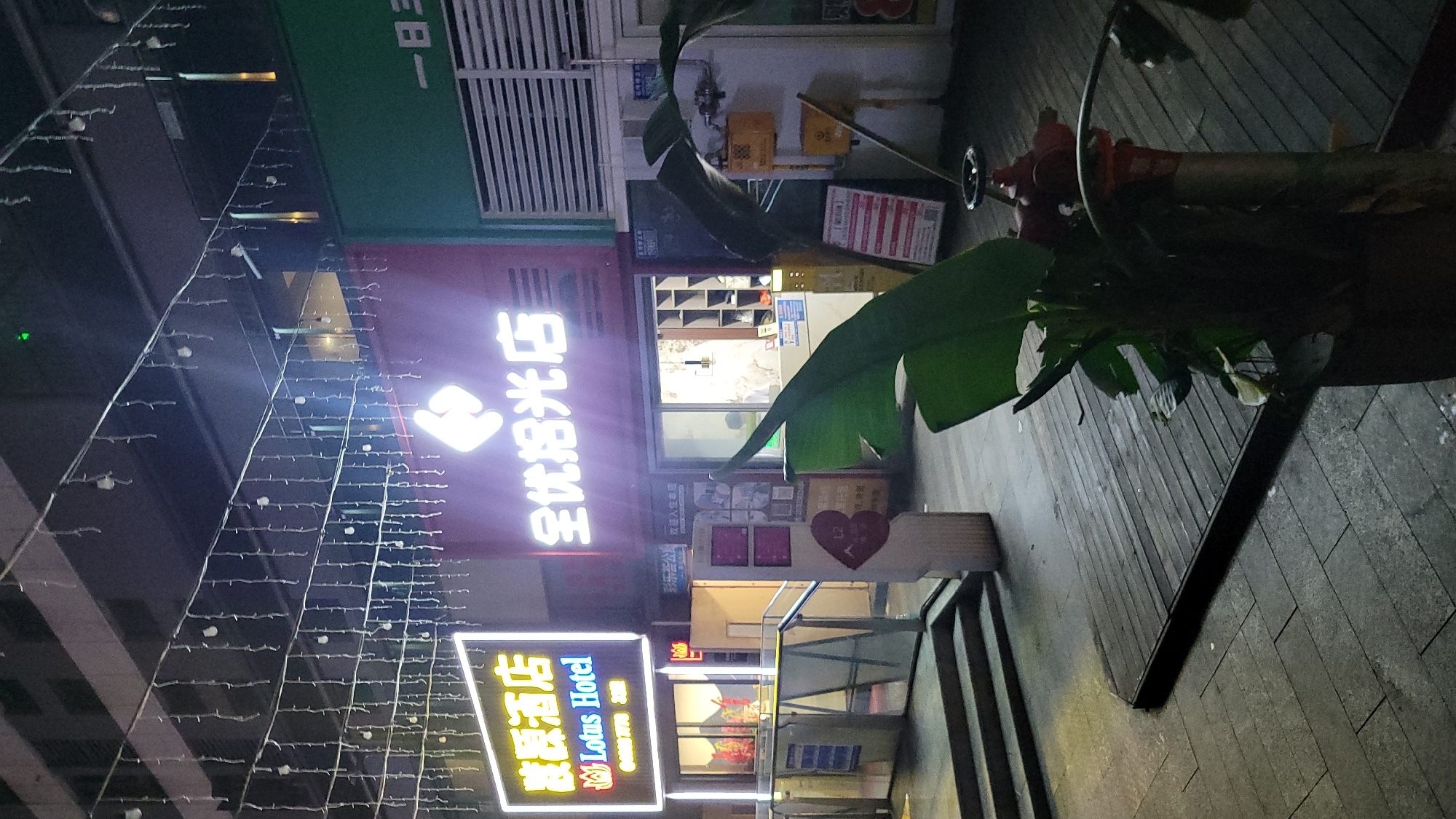 Here is a forensic description of the image:
**Location:** The image appears to have been taken at night in Jiulongpo District, China, based on the signs.
**Subjects and Objects:**
* Building exteriors with various commercial signs.
* A sign for "Lotus Hotel" with the Chinese characters "波源酒店".
* A sign with the Chinese characters "全优拾光店".
* A fire hydrant next to a large potted plant.
* String lights are hung across the front of the buildings.
* A wooden deck area.
* Pavement, likely part of a sidewalk.
* A glass and metal railing.
**Environment:**
* It is night-time.
* The area is illuminated by commercial signs and streetlights.
* The setting is an urban commercial area.
* Weather conditions appear clear.