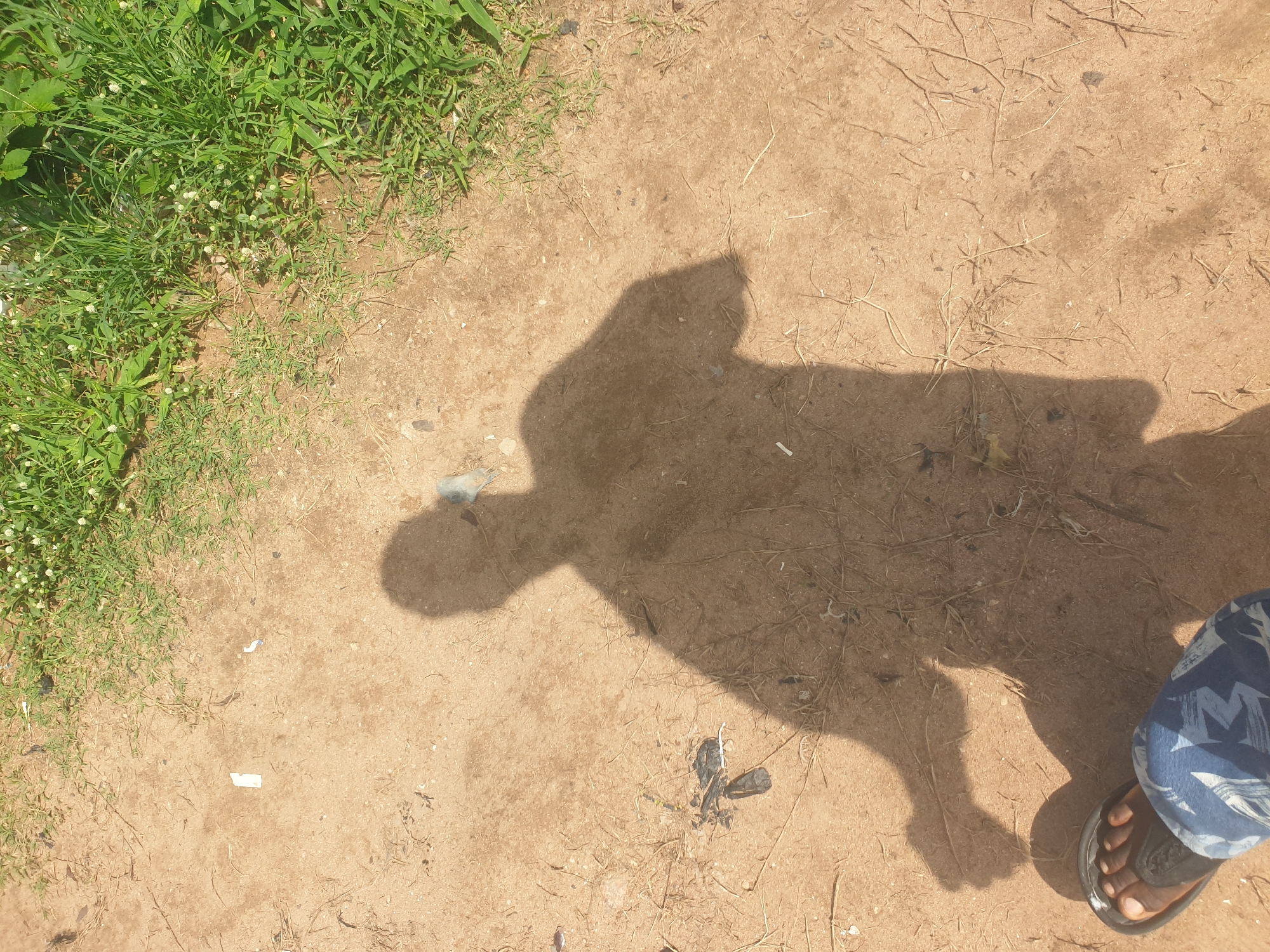 An overhead shot shows a shadow of a person cast upon a dirt ground with scattered debris and dried grass. To the right of the frame, a patch of green grass with small white flowers is visible, indicating an outdoor environment. The person's shadow covers the majority of the dirt area, suggesting bright sunlight. In the lower left corner of the image, the bottom of a person's foot is visible, wearing a sandal and patterned clothing. The shadow appears to be that of an adult male, with the head and upper torso clearly defined, and the arms slightly extended. The ground itself is composed of light brown soil with small pebbles and dried plant matter. The overall scene is mundane and everyday, with no obvious signs of distress or activity. The location is unspecified.