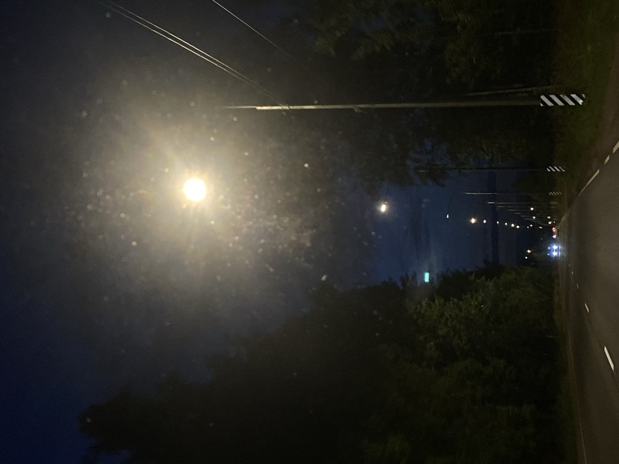 The image depicts a dark road at night, bordered by trees on either side. Several streetlights illuminate the scene, with one particularly bright light in the upper center of the frame. The road has white lane markings and appears to be a highway or a significant thoroughfare. In the distance, headlights of vehicles can be seen, suggesting ongoing traffic. The sky is a deep blue, indicative of nighttime. The presence of streetlights and the road infrastructure suggest an urban or suburban environment. The location is Lomonosov, Russia, a city known for its palaces and parks, and this scene likely represents a road leading into or out of the city, or a major artery within its outskirts. The overall impression is one of a typical nighttime drive through a tree-lined area.