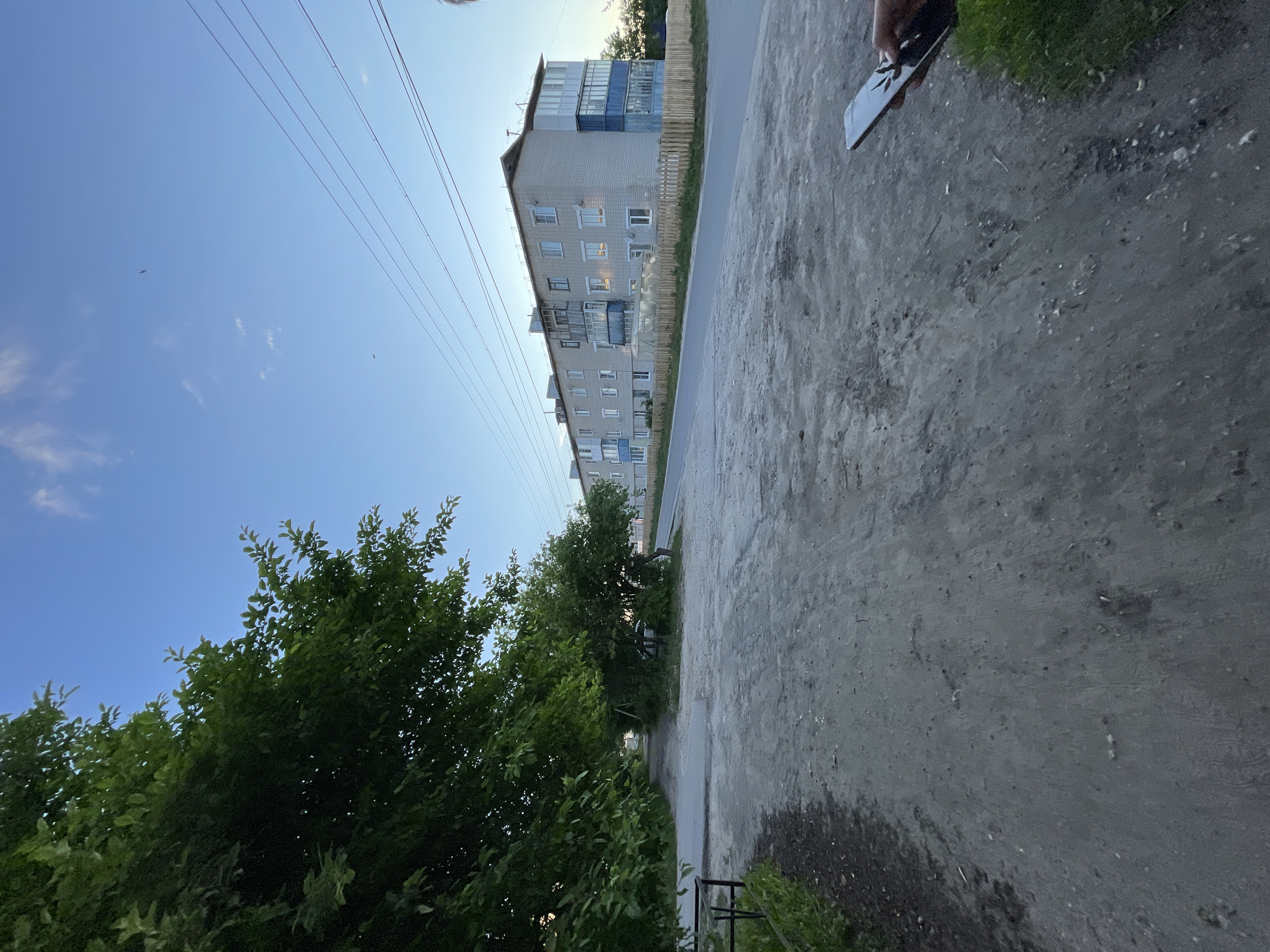 In the city of Krasnye Baki, Russia, a street scene unfolds under a clear, pale blue sky with a few wispy clouds. A large, leafy tree dominates the left side of the frame, its branches extending towards the sky. To the right, a multi-story apartment building, constructed of light-colored bricks, stands with numerous windows and enclosed balconies. A light-colored wooden fence runs along the front of the property. The foreground is a rough, unpaved road with patches of dirt and scattered debris. In the lower right corner, a person's hand holds a dark-colored smartphone. The overall impression is one of a residential street on a calm, early evening.
