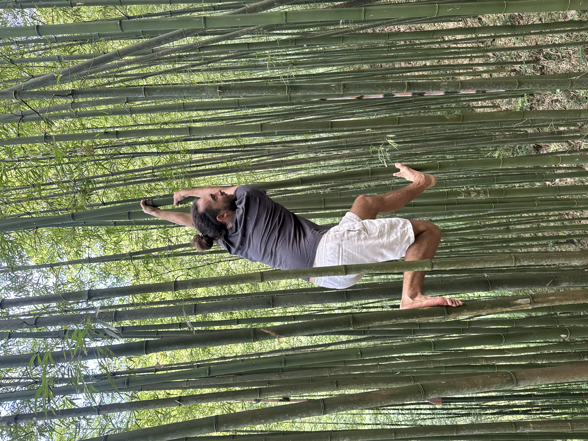 A man is positioned horizontally in a bamboo forest, seemingly suspended among the bamboo stalks. He is wearing a dark gray t-shirt and white shorts, with his hair tied back in a bun. His arms are stretched out, with one hand gripping a bamboo stalk. His legs are bent, and his feet are also positioned on the bamboo. The bamboo forest is dense, with many green stalks creating a layered effect. The location is likely Púng Luông, Vietnam.