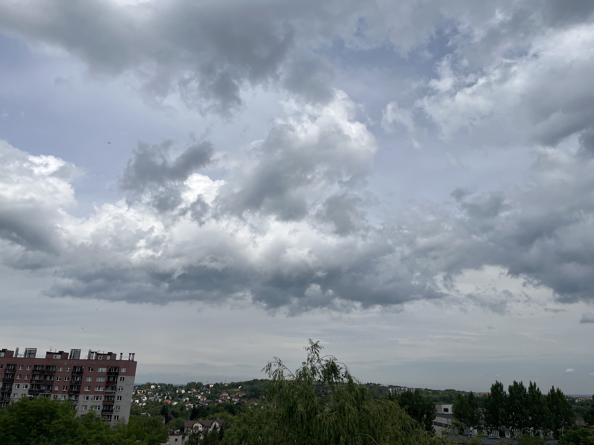 The image presents a panoramic outdoor view dominated by a vast, cloudy sky above a distant urban and suburban landscape. The sky is filled with large, dramatic grey clouds of varying thickness, from dark, dense formations to lighter, more broken patches, with glimpses of pale blue visible between them, especially in the upper left. This suggests an overcast day, potentially indicating mild or approaching stormy weather.
In the mid-ground, a sprawling residential area unfolds. To the left, a prominent, multi-story apartment building with a reddish-brown and light grey facade, featuring numerous windows and balconies, stands out. Below and surrounding this structure, and extending into the lower foreground, are abundant green trees and foliage. A large tree with long, drooping leaves occupies the lower mid-right of the frame. Beyond these immediate elements, countless smaller houses and buildings, interspersed with greenery, stretch across rolling hills towards a hazy horizon.
The image is captured during daylight hours, but the heavy cloud cover diffuses the light, preventing strong shadows. A tiny, dark silhouette, possibly a bird or a small distant aircraft, is visible against the lighter sky in the upper-left quadrant. There are no identifiable people or visible text in the scene. The overall impression is one of a quiet, somewhat atmospheric observation of a cloudy day over a populated area, taken from an elevated perspective.