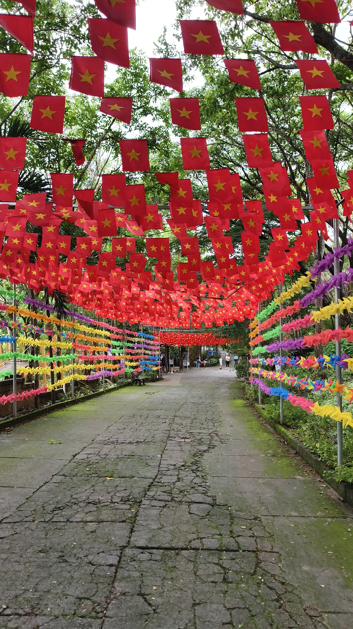The image depicts a pathway lined with colorful decorations in Tân Phú, Vietnam. Red flags with yellow stars, likely representing the Vietnamese flag, are strung overhead, forming a canopy over the walkway. Along the sides of the path, rows of colorful pinwheels in hues of red, orange, yellow, green, blue, and purple are displayed. The pathway itself appears to be paved with cracked concrete and is partially covered in moss. In the background, lush green trees provide a natural backdrop, and a few individuals can be seen walking along the path. The scene suggests a festive or commemorative event taking place in an outdoor park or public space.