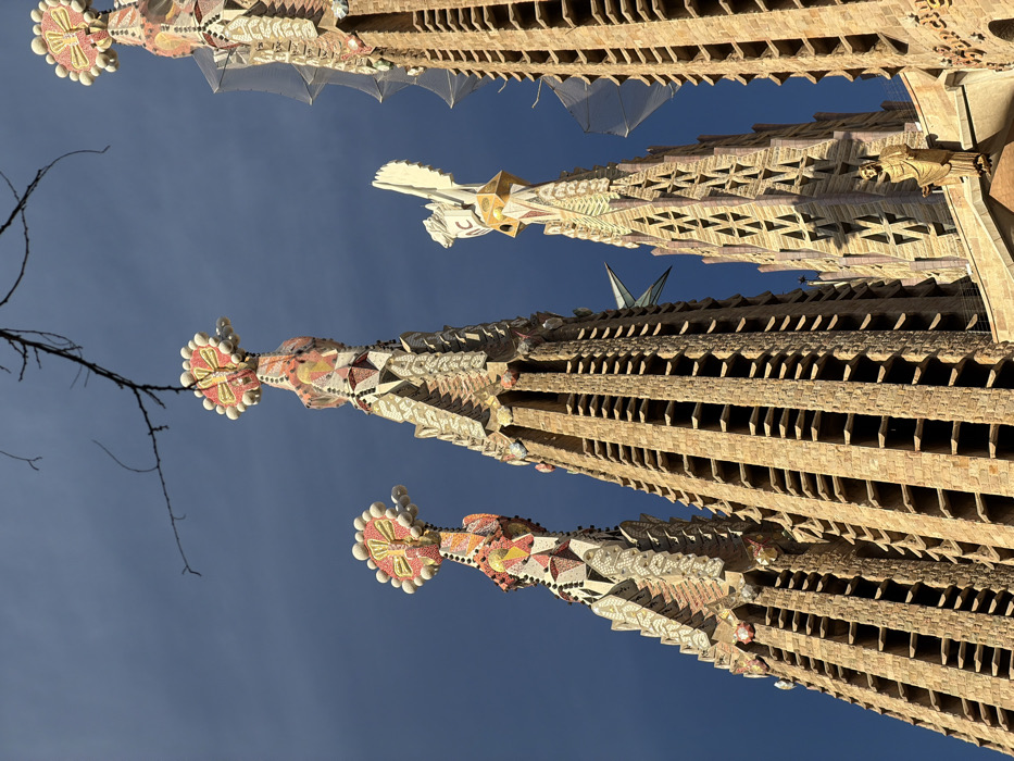 The image displays a striking low-angle view of the highly ornate towers of a large architectural structure, almost certainly the Sagrada Familia in Barcelona, Spain. The perspective is dramatically tilted, causing the tall, vertical elements of the building to diagonally traverse the frame from the bottom right to the top left, emphasizing their immense height against a clear blue sky.
Several distinct towers are visible, showcasing the unique and intricate design characteristic of Antoni Gaudí's work. The towers are constructed from a light, yellowish-beige stone or concrete, with surfaces featuring numerous small, recessed rectangular openings arranged in horizontal rows, creating a textured, almost perforated appearance. Further up, some sections display complex geometric patterns and carved stone details.
The uppermost parts of the visible towers are adorned with vibrant, mosaic-like elements. These colorful details, appearing as large, spherical or fruit-like finials, are composed of red, orange, yellow, and white tesserae, often accented with gold and other muted tones. Small, off-white, spherical protrusions often ring these colorful structures. One tower, positioned more centrally, features a more angular, white sculptural element that protrudes outwards. Thin, almost transparent netting or scaffolding is visible near the top of some towers, suggesting ongoing construction or maintenance, which is typical for the Sagrada Familia.
In the upper left quadrant of the image, a bare, dark brown tree branch extends into the sky, providing a natural contrast to the man-made structure and hinting at a season without leaves. The sky itself is a bright, clear, and unblemished blue, indicating sunny weather. The bright sunlight illuminates the building, highlighting its textures and colors, and creating subtle shadows that add depth to the architectural details. There is no visible text in the image, and no discernible activity is taking place beyond the static presence of the grand architecture.