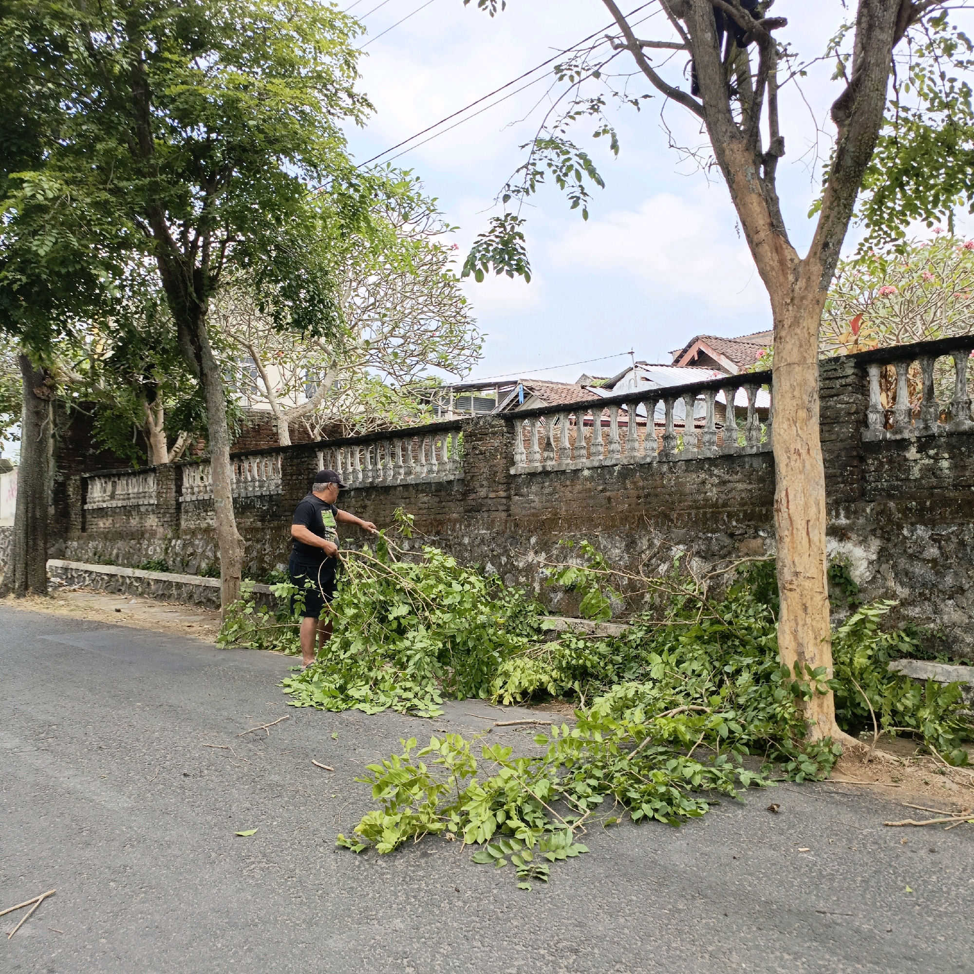 The image shows a man in a black t-shirt and shorts wearing a black baseball cap, standing on an asphalt road in front of a stone wall. He is in the process of clearing fallen branches and leaves from the road. The branches are green and leafy, scattered across the road and along the side of the wall. The wall is made of rough stones and has decorative concrete balusters along the top. Behind the wall, there are rooftops of houses visible. Trees with green foliage are present in the foreground and background. The sky is partly cloudy. The scene appears to be a residential street in Salatiga, Indonesia, where yard work is being conducted.