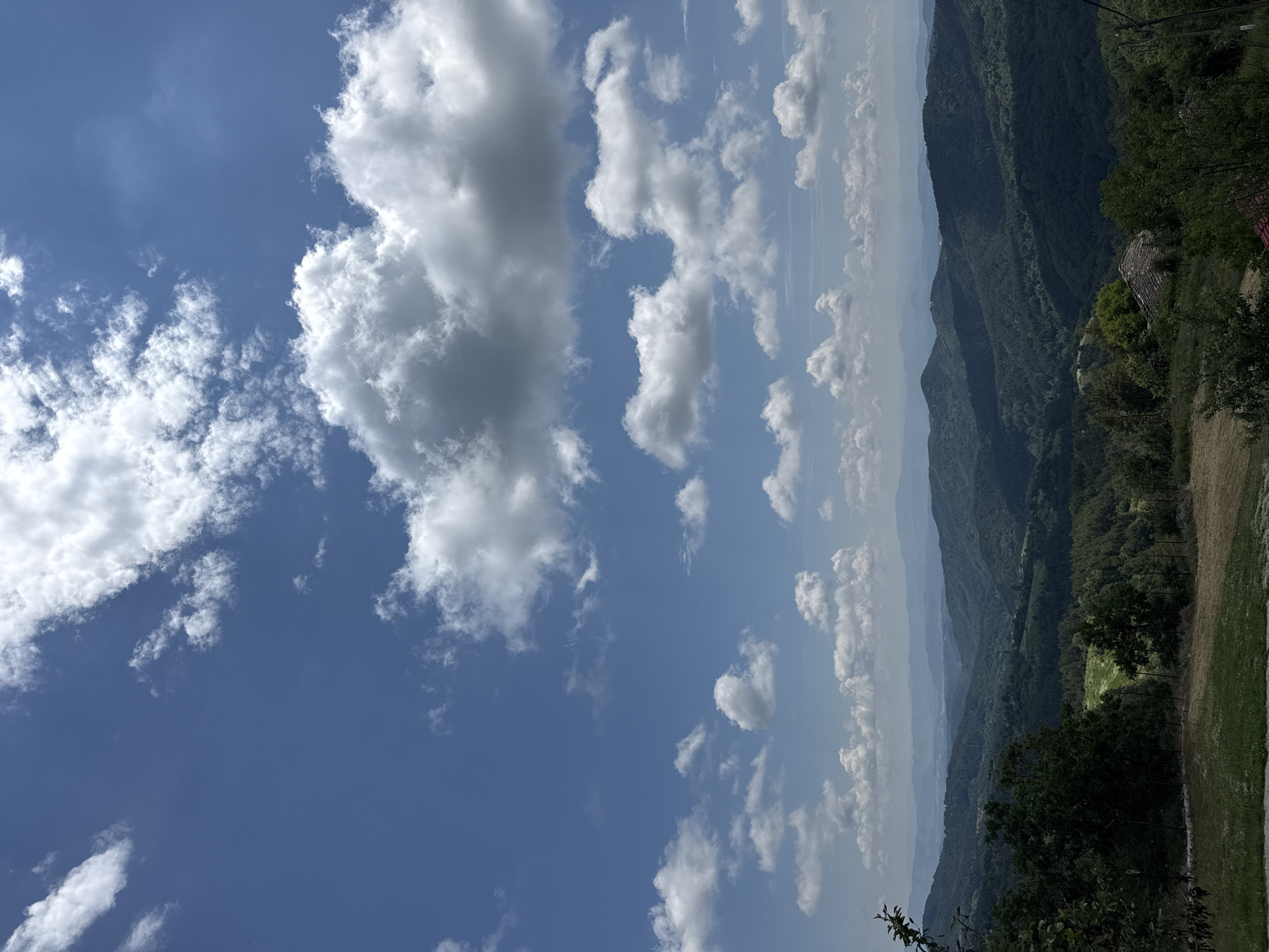 The image depicts a broad panoramic daytime view of a mountainous and forested landscape, identified as being located in Chubrika, Bulgaria. The upper approximately two-thirds of the frame are dominated by a clear, bright blue sky containing numerous scattered cumulus clouds of varying sizes and opacities; some are brilliant white, while others display darker grey undersides, indicative of their three-dimensional structure. The lower third of the image reveals a series of rolling mountain ridges, heavily covered with dense, dark green deciduous and coniferous trees. These ridges recede into the distance, with atmospheric perspective causing them to appear progressively lighter and bluer towards the horizon. In the immediate foreground, a patch of dry, yellowish-green grass is visible on the left, transitioning to darker green foliage and shadows on the right. A dark green leafy branch partially extends into the frame from the upper-left foreground. Within the mid-ground, nestled among the trees on a slope, are visible sections of two distinct building rooftops: one with a textured, grayish, possibly stone-tiled roof, and another partially obscured with a reddish hue. There are no human figures, animals, or specific actions depicted within the scene.