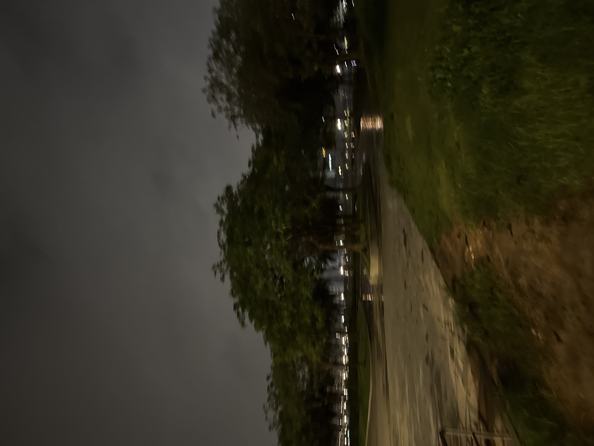The image depicts an outdoor scene at night, likely in a park or a landscaped area. The sky is overcast and dark. A line of trees with dense foliage runs horizontally across the middle ground, with their branches and leaves illuminated by some unseen light source. In the foreground, there is a wet paved area, possibly a road or a plaza, with reflections indicating recent rain or moisture. To the right of the paved area is a strip of green grass, and further to the right, more trees. In the background, faint lights suggest the presence of buildings and distant city lights. The overall impression is one of a quiet, possibly slightly damp, urban nighttime environment with natural elements. The location of Haizhu District, China, is not discernible from the visual information presented in the image.