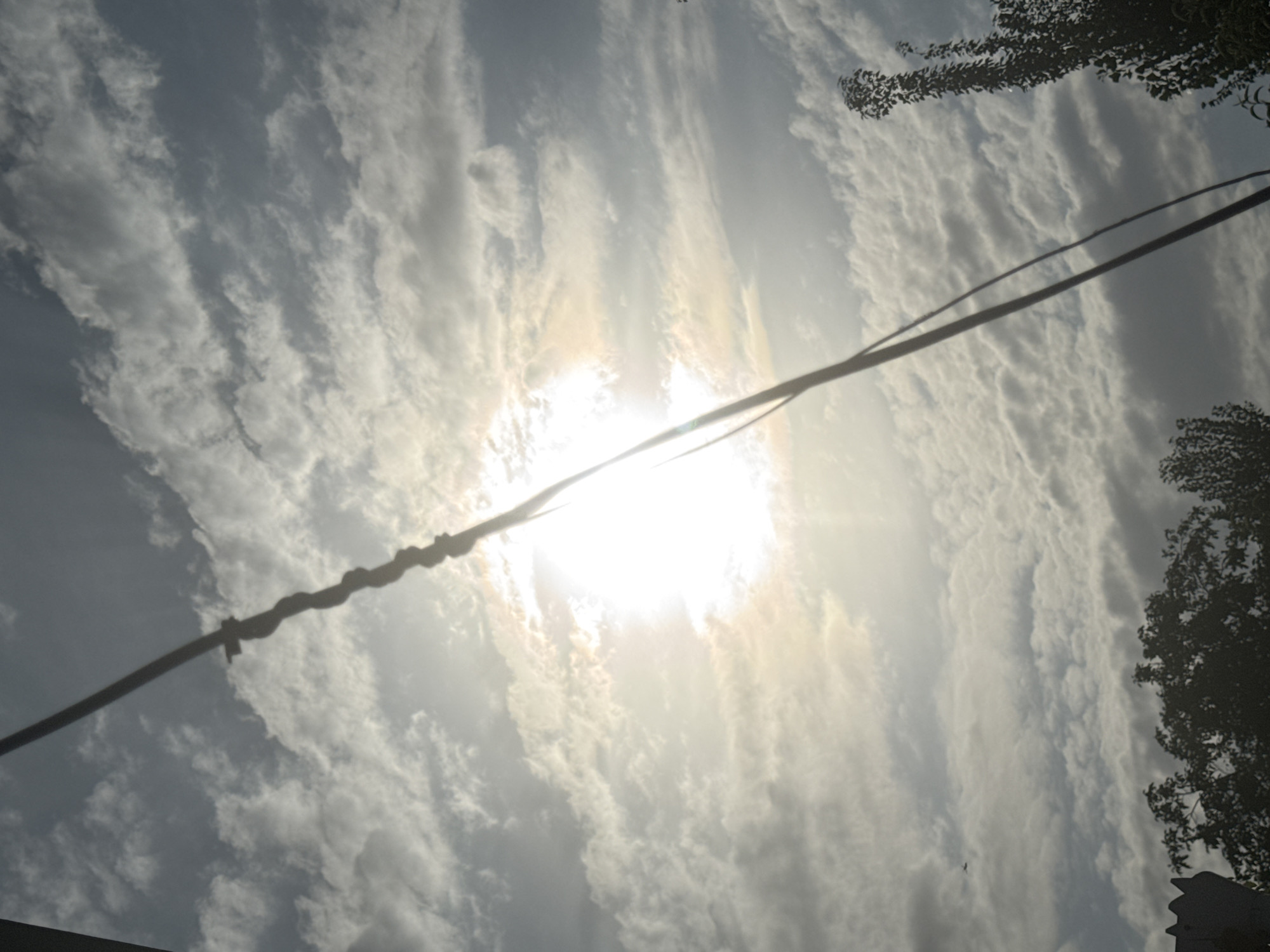 A utility wire stretches diagonally across the frame from the upper left to the lower right, casting a shadow. The sun, a bright, blown-out orb, is centered in the upper half of the image, obscured by a textured, cloudy sky. The clouds are varied in density, with some appearing wispy and others more solid, creating a layered effect. In the lower portion of the image, the tops of dark green trees are visible, their foliage dense and silhouetted against the brighter sky. To the far left, a dark, angular structure with a scalloped edge is partially visible. A small dark object, possibly a bird or drone, is visible in the upper left quadrant. The scene appears to be an outdoor environment within the city of Savay, Kyrgyzstan.