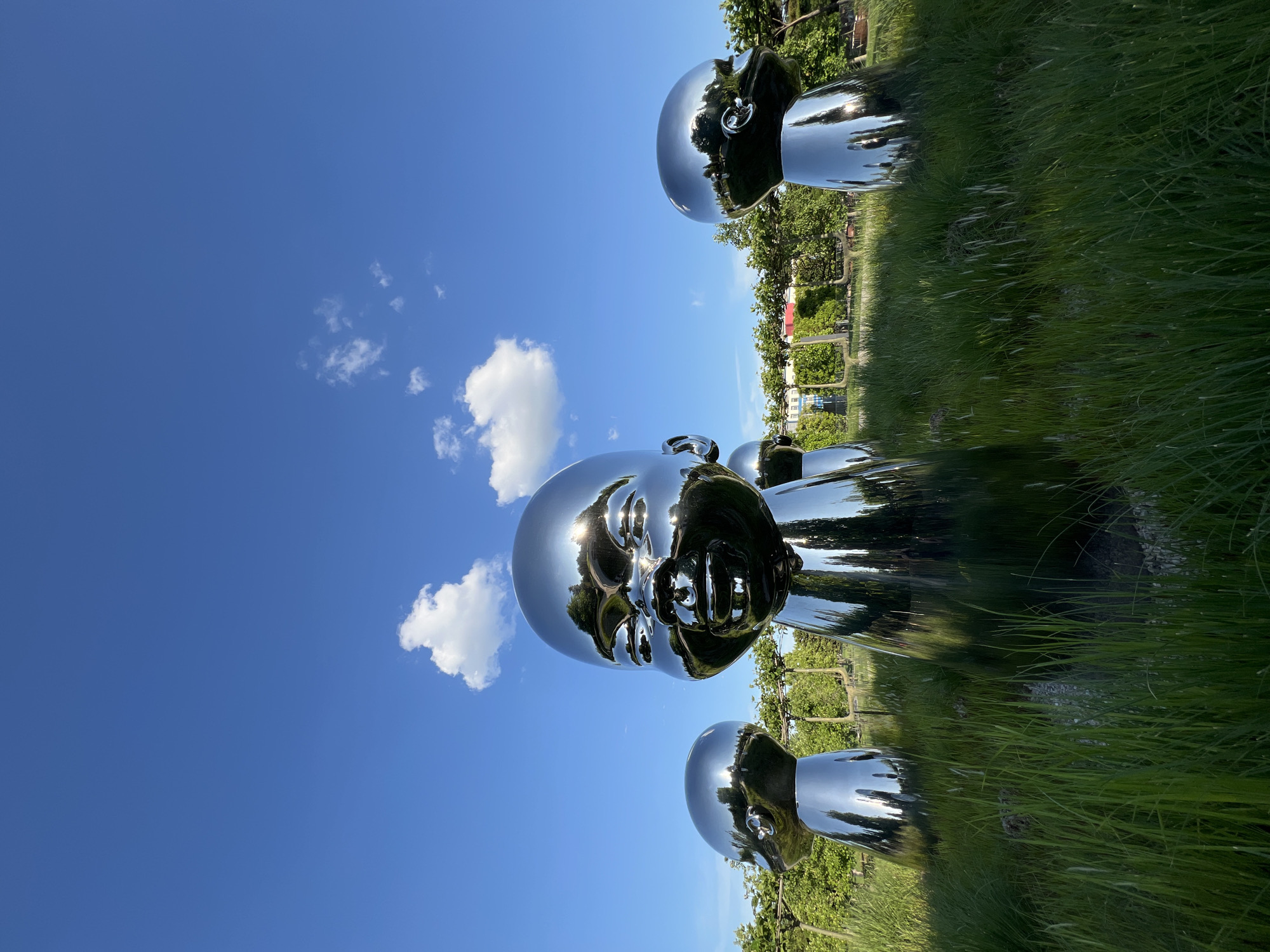 The image captures an outdoor scene in Krasnodar, Russia, featuring three large, highly reflective, chrome-like sculptures of stylized human heads or busts. These art pieces are characterized by their smooth, polished surfaces that mirror the surrounding environment vividly.
The central and most prominent sculpture shows a face reflecting the bright blue sky, scattered white clouds, and a strong, glinting highlight from the sun on its forehead. Another similar sculpture is visible in the upper right (when viewed upright), and a third is partially seen in the lower left, also reflecting the surroundings. The reflections in the sculptures show green trees and what appears to be rows of cultivated plants or distant buildings, suggesting a landscaped park or garden setting.
The scene is set outdoors under a clear, vibrant blue sky with a few fluffy white clouds. The foreground and mid-ground consist of lush green grass. The bright sunlight indicates it is daytime, likely morning or afternoon, creating sharp reflections and highlights on the metallic sculptures. There is no human activity or event taking place; the image is a static capture of the art installation within its natural environment. No visible text is present in the image.