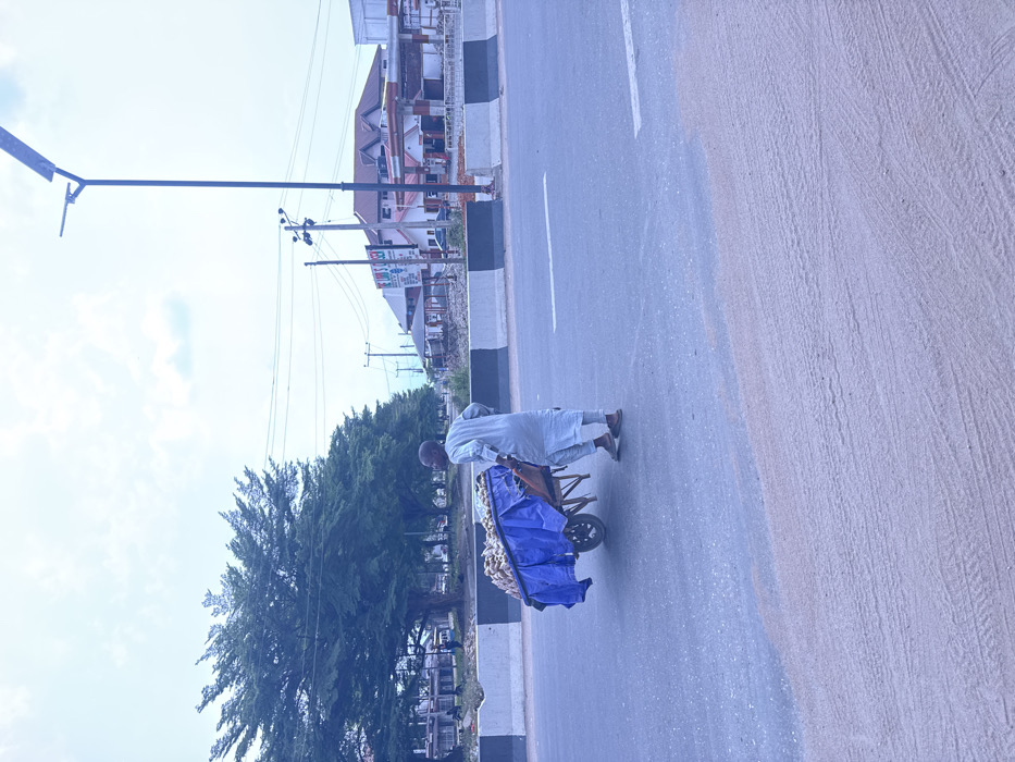 This image, located in Ogbaku, Nigeria, depicts a lone male figure pushing a two-wheeled handcart on a paved road. The man, dressed in a light-colored long-sleeved garment and trousers with brown sandals, is positioned mid-frame, moving the cart from right to left. The handcart is laden with numerous light-colored, ovoid objects, consistent with tubers such as yams, partially concealed by a blue tarp draped over the load. The paved road surface shows a faded white lane marking and transitions into a sandy, textured shoulder in the foreground. To the left, a dense line of large green trees borders the roadside. To the right, a concrete median barrier with alternating black and white stripes separates the thoroughfare from roadside structures. Visible beyond the median are various buildings, including one appearing to be a petrol station with red architectural elements, utility poles supporting overhead power lines, and a tall street light equipped with a solar panel. The sky is overcast.