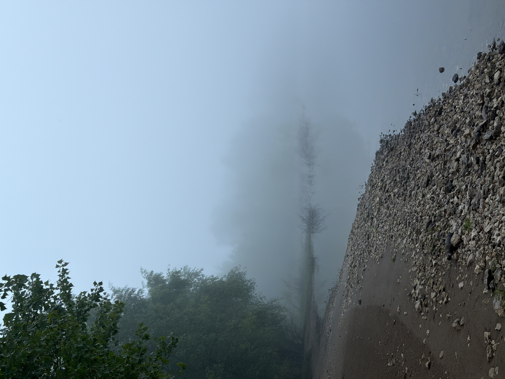 The image, oriented vertically, depicts a natural landscape enveloped in a thick layer of fog or mist, creating a soft, ethereal atmosphere. The upper portion of the frame is dominated by a pale, hazy blue expanse, likely a fog-obscured sky or distant horizon.
In the lower-left section, dense green foliage from trees or bushes is clearly visible, with individual leaves and branches discernible against the diffused background. To the right, a textured shoreline or bank, composed of various sizes of grey and brown rocks mixed with dark mud, slopes upwards from the bottom right towards the center of the image.
Adjacent to this rocky bank, running vertically through the central part of the image, is a still body of water, its surface reflecting faint, blurred, vertical forms that resemble tall, bare trees or tree trunks heavily shrouded in the pervasive fog.
The entire scene is illuminated by a soft, diffused light, suggesting either an early morning or late afternoon setting under heavy atmospheric conditions. No people, animals, or man-made structures are distinctly visible, nor is there any visible text. The landscape portrays a tranquil and somewhat mysterious natural environment, consistent with a riverbank or lake shore in Chaikovsky, Russia.
