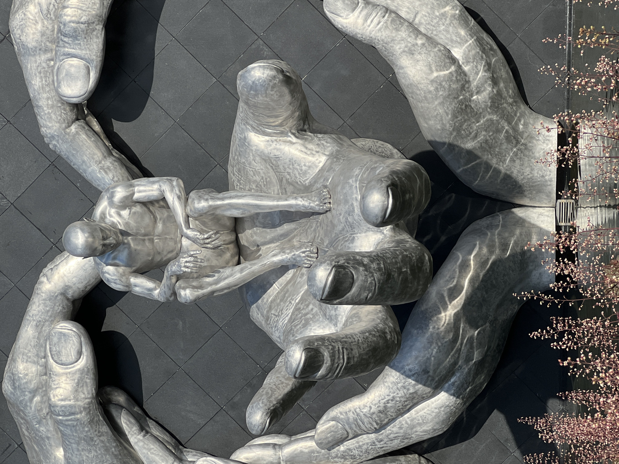 The image depicts a large, metallic sculpture in Krasnodar, Russia. The sculpture features multiple oversized hands forming a protective embrace around a smaller, human-like figure. This central figure, also metallic, is depicted in a seated, contemplative pose, with its head bowed and arms resting on its knees. The backdrop of the sculpture is a textured, dark wall with a diamond pattern. In the foreground, there is a body of water, likely a fountain or pond, with delicate, pink-flowered plants growing at its edge. The lighting suggests it is daytime, with strong shadows cast by the sculpture.