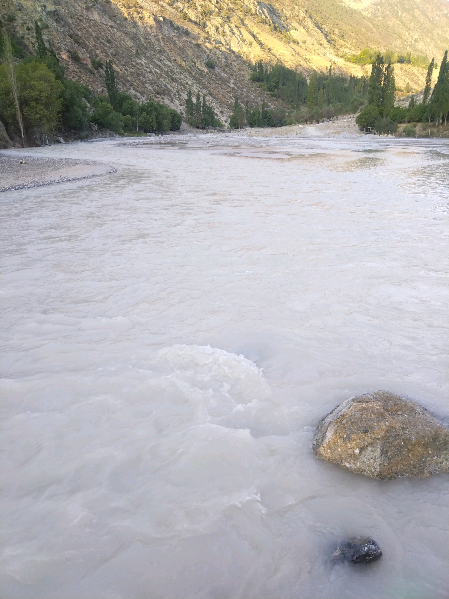 This image captures a wide, milky-white river flowing through a mountainous, arid landscape. The river's surface is disturbed, indicating a current or rapids in places. On the left bank, a gravelly shore leads up to a steep, rocky mountainside sparsely covered with vegetation. Tall, slender trees are visible along the riverbank and on the lower slopes of the mountains. On the right side of the river, the bank appears to be lined with more trees, extending further into the distance. In the foreground of the river, two rocks are visible, one larger and lighter in color, partially submerged, and a smaller, darker rock completely underwater. The lighting suggests it is either early morning or late afternoon, with sunlight casting shadows on the mountainside. The location is identified as Yordon, Uzbekistan.