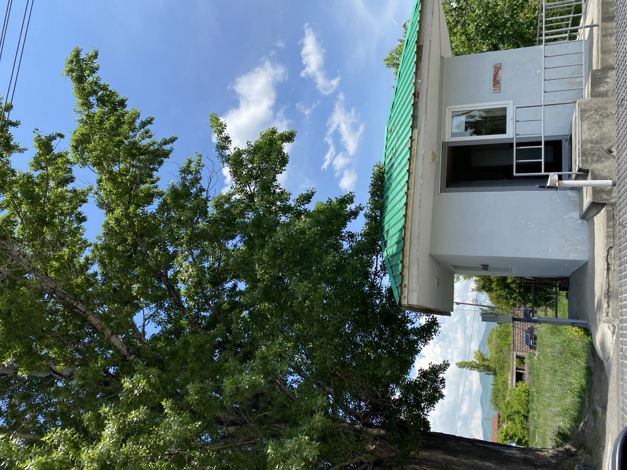 In the city of Gyumri, Armenia, on a bright, clear day, a small, light blue, single-story building with a green corrugated metal roof stands under the shade of a large, leafy green tree. The building has a door that is open, revealing a dark interior, and a window with a white frame. A white railing extends from the steps leading to the door. On the exterior wall of the building, to the right of the window, there is a red number sequence: "10020529".
The ground in front of the building is paved with dark grey, textured material. A concrete walkway with steps leads up to the building. To the left of the building, a large tree with a thick trunk and abundant green foliage dominates the foreground. Beyond the building, a grassy field stretches towards a backdrop of trees and distant mountains. Several residential buildings and a partially constructed structure with a stone wall are visible in the middle ground, along with two dark-colored cars. The sky is a vibrant blue, dotted with scattered white clouds. Overhead, power lines are visible, stretching across the frame.
