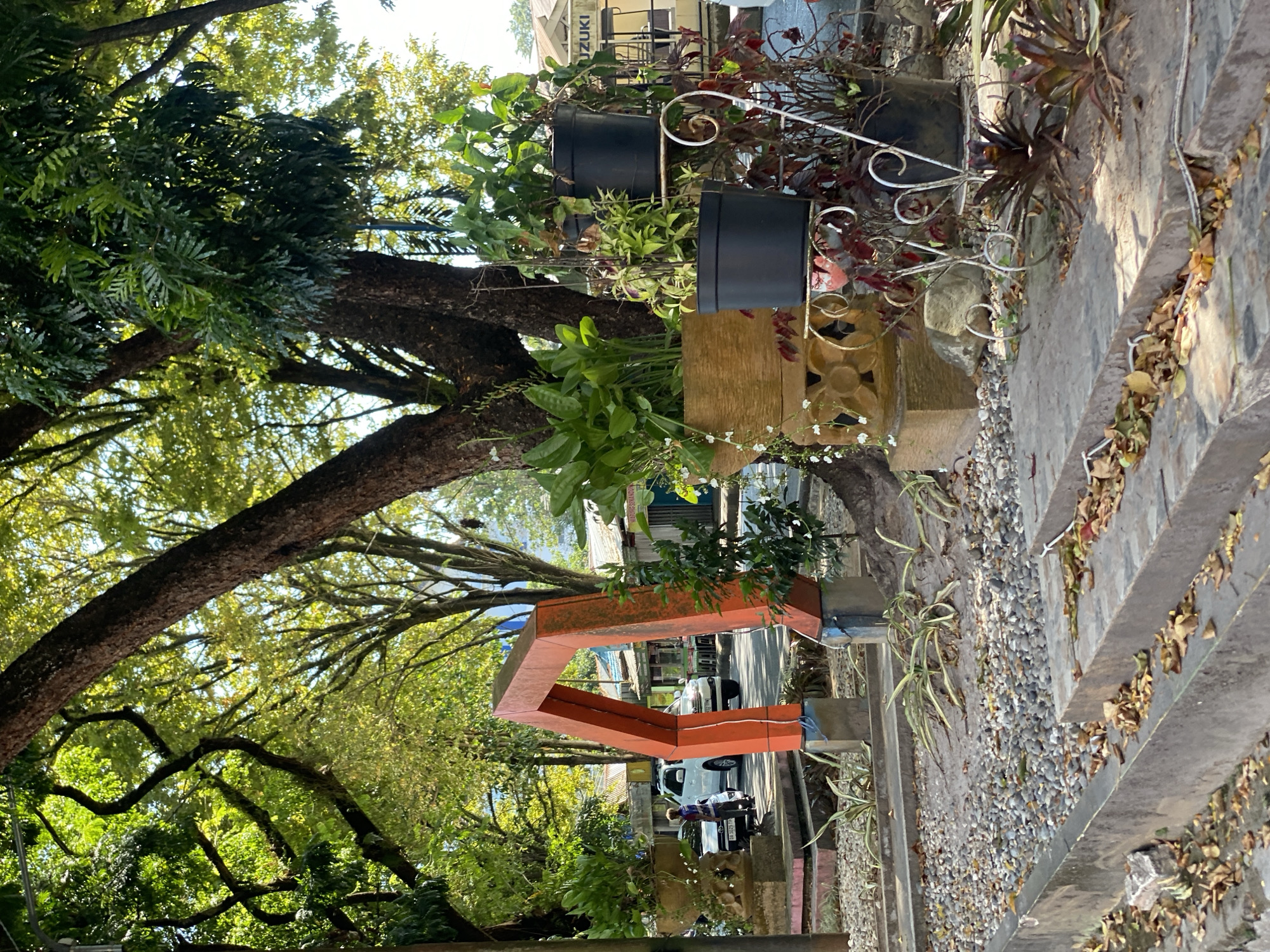 The image shows an outdoor scene in Banjarbaru, Indonesia. In the foreground, there are concrete steps with scattered dry leaves. To the left, a concrete planter with gravel and sparse vegetation is visible. A large tree trunk is prominent in the mid-ground, with its branches reaching into the frame. An orange, angular art installation stands in the middle of the scene, supported by concrete bases. Behind it, a white SUV is parked on a paved area, with a person standing near the driver's side. Several potted plants, including some on a decorative stand, are arranged on the right side of the frame. In the background, there are buildings with corrugated roofs and a sign that partially reads "SUZUKI." The environment appears to be a public space, possibly a park or a roadside area, with lush green trees and foliage indicating a tropical setting. The lighting suggests it is daytime, with sunlight filtering through the leaves.