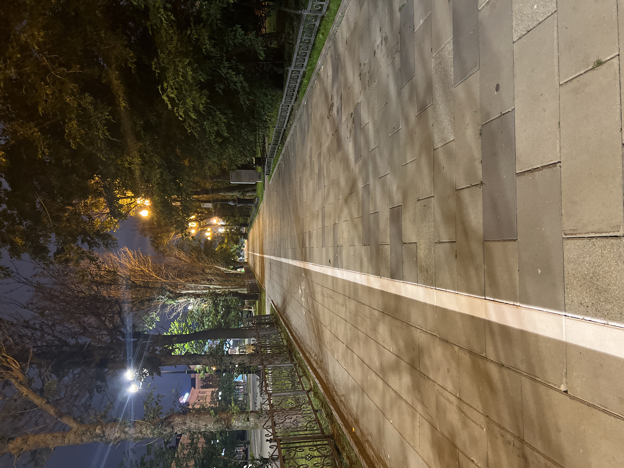 The image depicts an empty paved walkway at night in Yuzhno-Sakhalinsk, Russia. The walkway, lined with trees and ornate metal fencing on the left, is illuminated by streetlights. A white line divides the walkway, indicating a bike lane. The pavement is made of large rectangular tiles, some of which appear wet or stained. On the right side of the walkway, dense foliage forms a dark backdrop. The overall atmosphere is serene and still, with no individuals or activity visible.