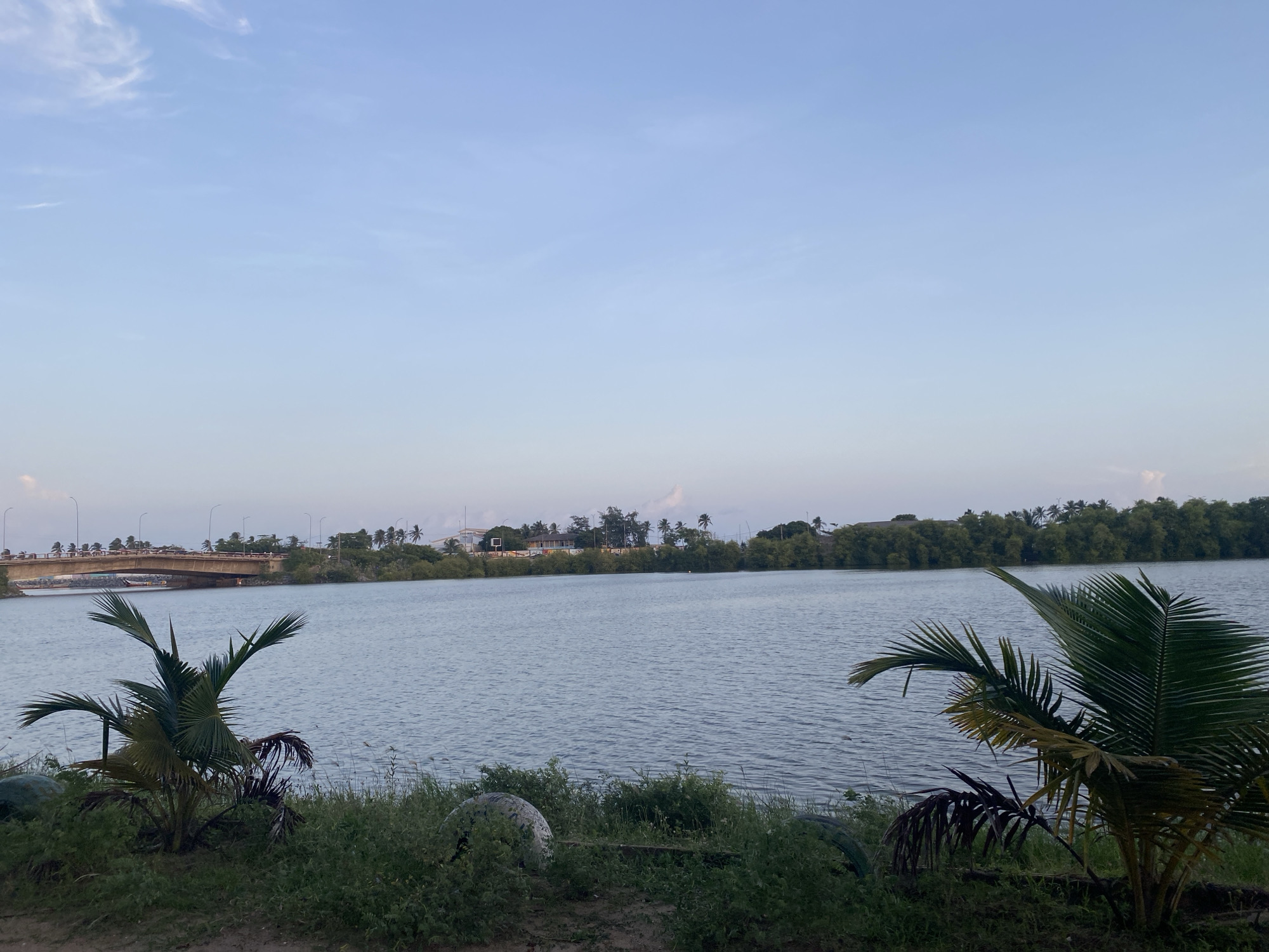 The image shows the Mono River in Aného, Togo. A bridge is visible in the background on the left side of the frame, connecting two landmasses across the river. The river surface is calm and reflects the sky. The riverbank in the foreground is covered in grass and two small palm trees that are situated at the bottom left and right corners of the frame. Beyond the river, there is a line of trees and some buildings. The sky is light blue with some clouds.