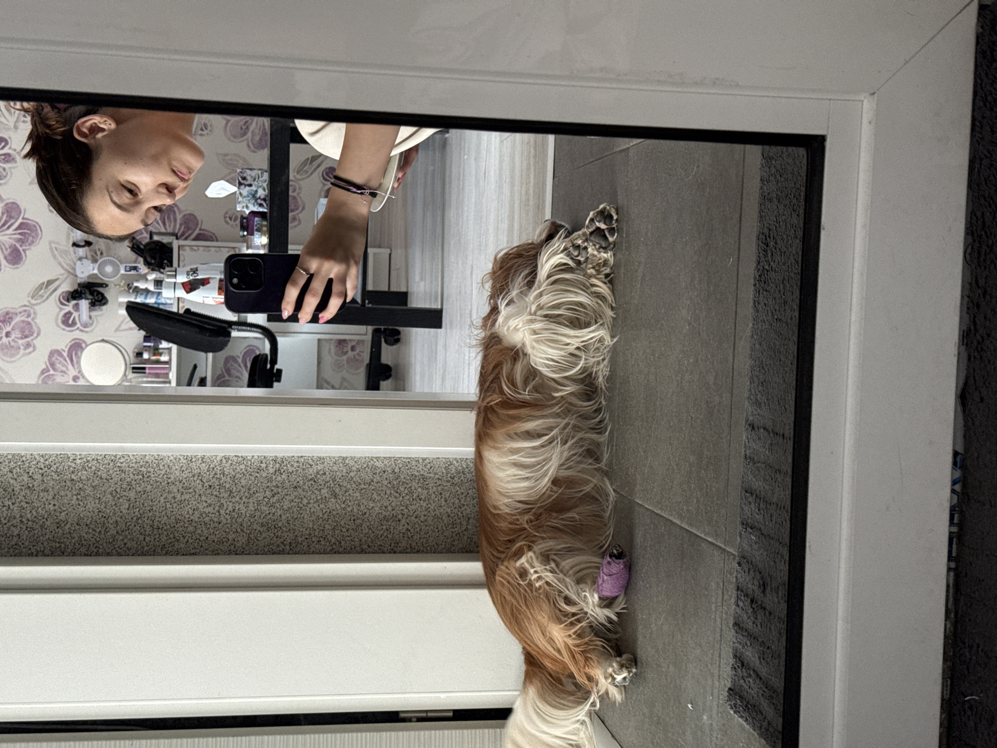 A woman is taking a mirror selfie in a room. She is holding a phone in her right hand and is looking at the reflection. A dog with long brown and white fur is lying on the floor in front of the mirror. The dog has a purple bandage on its front left paw. The room appears to be a home office or bedroom, with shelves filled with various items and a desk in the background. The flooring is tiled. The scene takes place indoors.