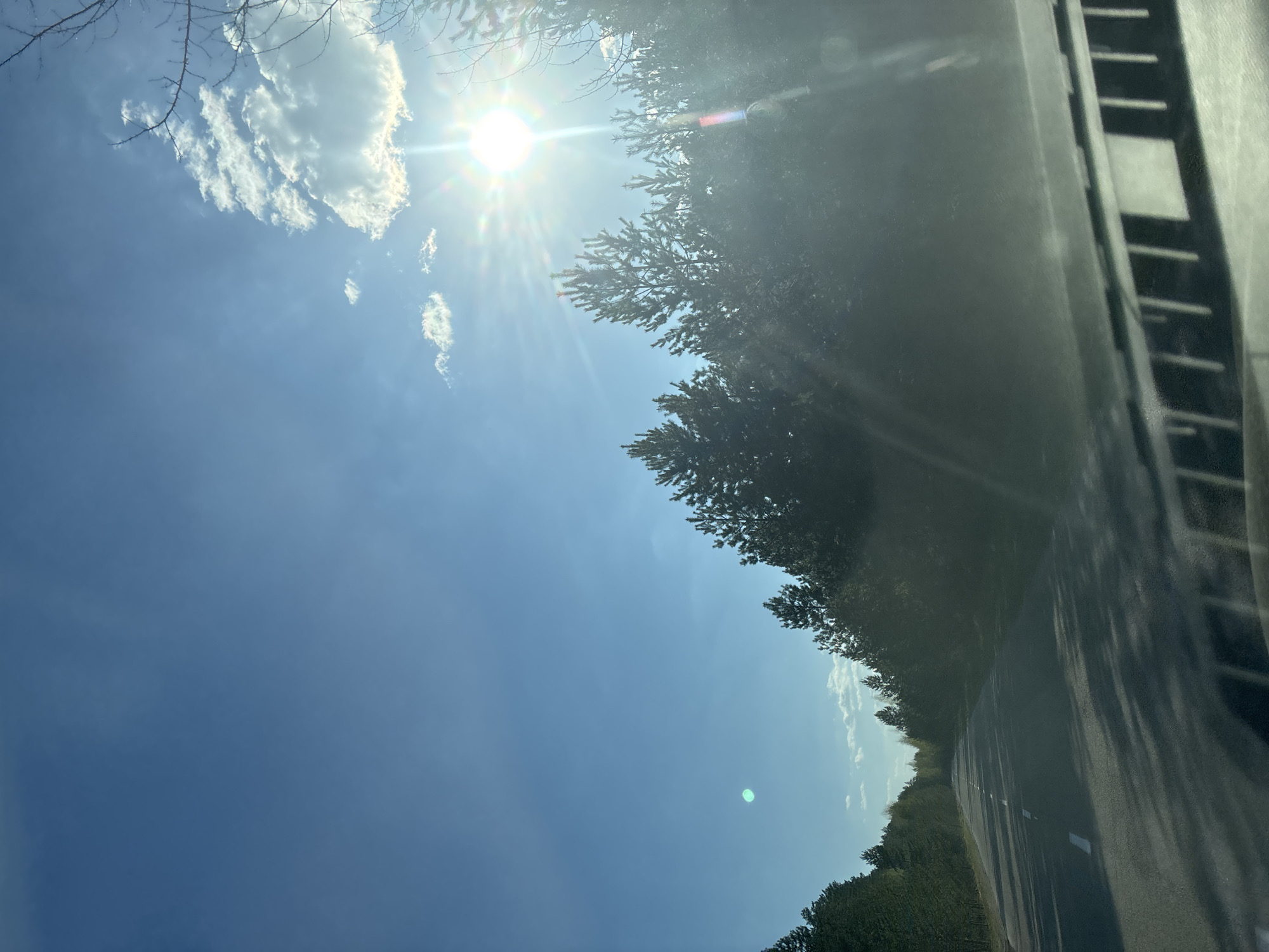 The image shows a view from inside a vehicle, likely a car, looking out the side window. The scene includes a road, trees lining the roadside, a bright sun in a partly cloudy blue sky, and the interior frame of the car window. The image gives the impression of a sunny day while driving along a tree-lined road. The city of Chaikovsky, Russia is not visually identifiable from the image provided.