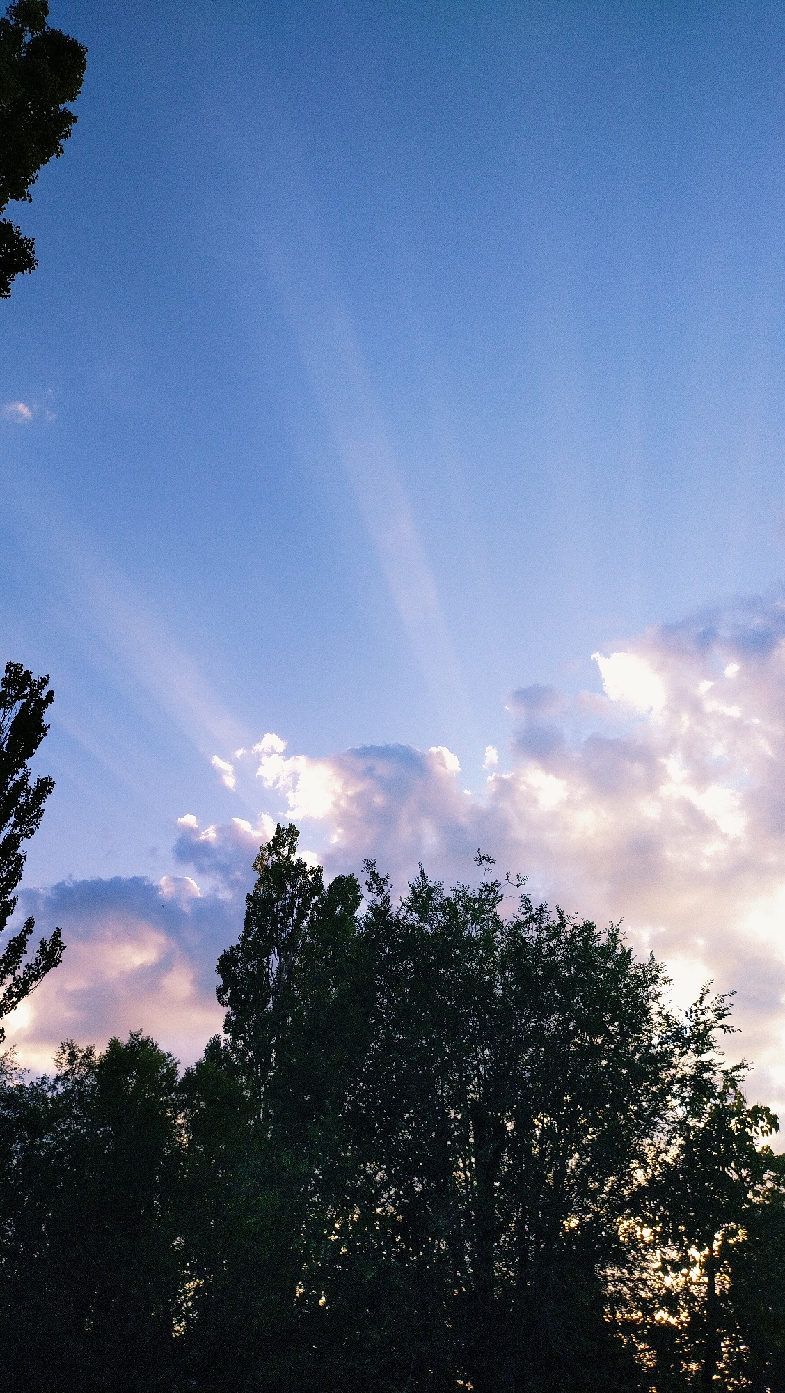 The image captures a silhouetted treeline against a twilight sky over Horishni Plavni, Ukraine. Shafts of light, known as crepuscular rays, emanate from behind scattered clouds, casting a dramatic effect on the horizon. The trees are dense and dark, their foliage obscuring the sky from view for the most part, suggesting a late evening or early morning setting. The overall mood is tranquil and serene, with the natural beauty of the sky dominating the scene. There are no visible people or man-made structures that would suggest immediate human activity, making it a purely naturalistic depiction.