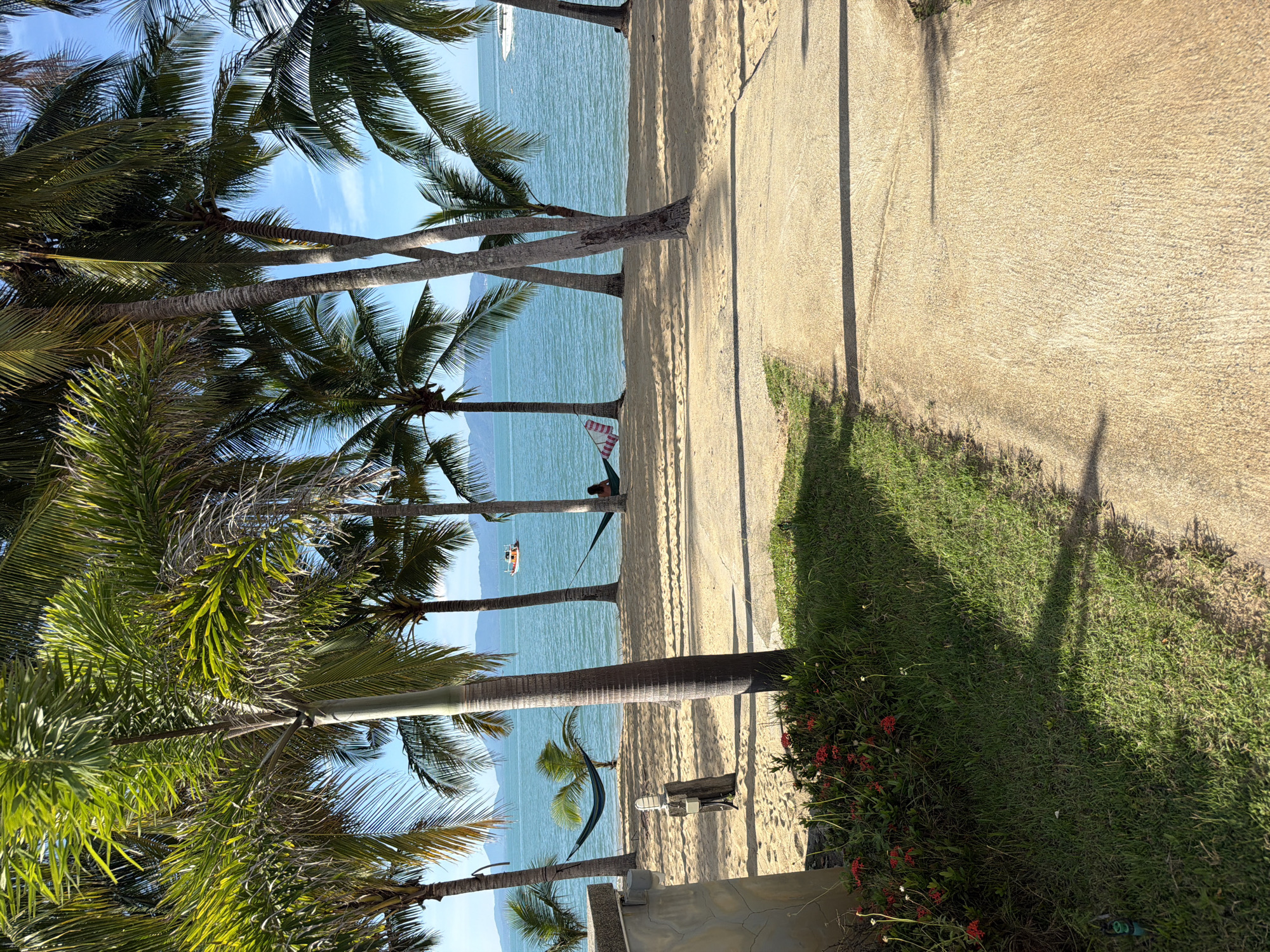The image depicts a serene beach scene in Baan Tai, Thailand, under a clear blue sky. Several palm trees line the sandy shore, their fronds casting dappled shadows on the ground. In the distance, the turquoise ocean stretches to the horizon, with faint mountains visible. Two hammocks are suspended between trees along the beach. One is empty, a vibrant green, while the other, a pink and white striped hammock, is occupied by a person relaxing. A small orange boat is visible on the water, adding a touch of activity to the tranquil setting. The foreground features a concrete path bordering a patch of lush green grass and red flowers, suggesting a resort or a well-maintained beach area.