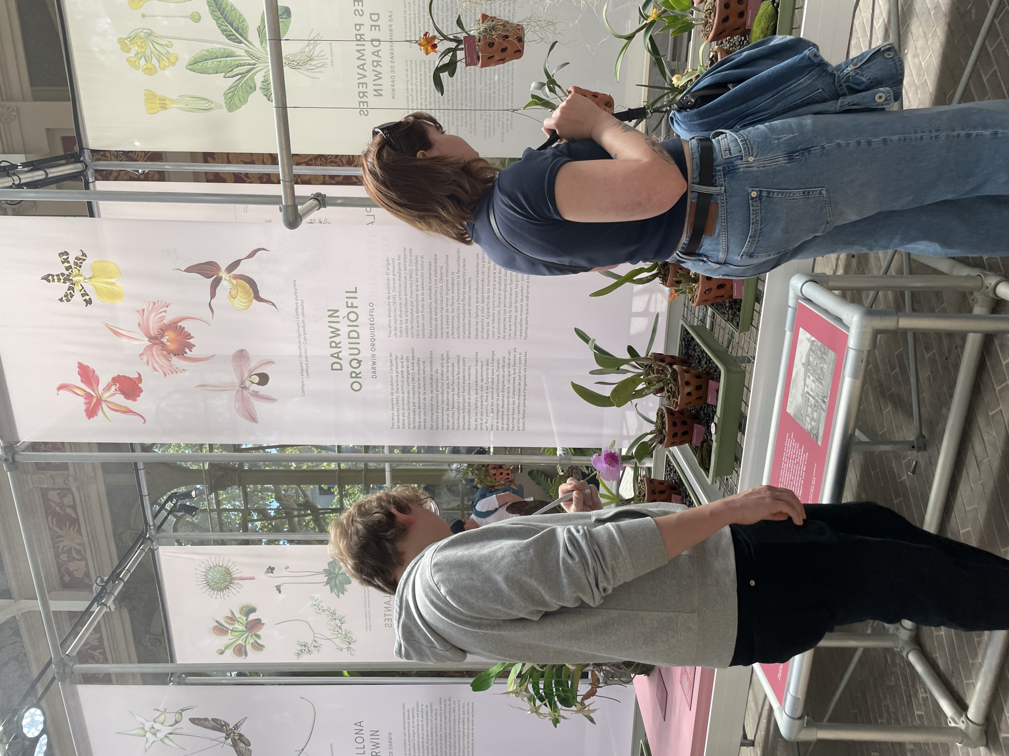 Two people are looking at display panels that appear to be part of an exhibit. The panels contain images and text, the closest one reading "Darwin Orquidiofil". A woman is standing on the right, wearing a dark blue shirt and jeans with a blue jean jacket slung over her shoulder. She is facing the panel and appears to be taking a photo with a phone. On the left, a person with short, light-colored hair wearing a gray sweatshirt and black pants is also looking at the panels. The displays include mounted orchids. The setting seems to be an indoor exhibition or botanical garden, likely in Barcelona, Spain, given the languages presented in the exhibit. The exhibit is constructed with a modular aluminum structure.