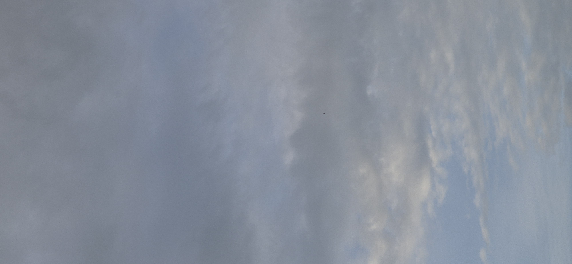 A cloudy sky is depicted, with varying shades of gray and some hints of blue. The clouds appear to be scattered and layered. There is a single, very small dark speck visible in the upper-middle portion of the image, which could be a bird or an insect. The scene is devoid of any buildings, landmarks, or specific geographical features that would allow for the identification of a location within Mainz, Germany.