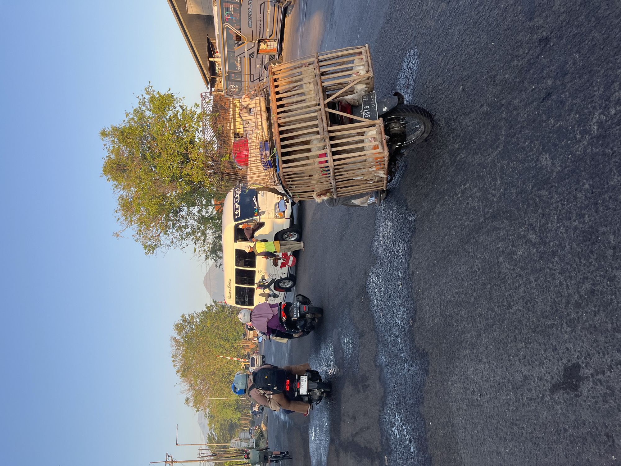 A medium shot captures a street scene in Kludan, Indonesia, under a clear blue sky at what appears to be early morning or late afternoon due to the warm, low sunlight casting long shadows. The asphalt road has patches of wetness and appears somewhat rough.
In the foreground, a motorcycle is loaded with a large wooden crate filled with live chickens. The crate is attached to the rear of the motorcycle and extends significantly upwards and outwards, obscuring the rear wheel and part of the motorcycle's body. Several chickens are visible within the wooden slats. A red object, possibly a helmet or container, is also on top of the crate.
On the road, a white minibus with the word "LIMITED EDITION" and "IFOS" visible on its side is moving. A man in a yellow vest and khaki pants stands near the open passenger door of the minibus. To the left of the minibus, two people on another motorcycle are also moving away from the camera. The driver wears a blue helmet, and the passenger wears a light brown headscarf and a backpack. Further left, a person on a bicycle is also heading in the same direction.
In the background, more vehicles, including another bus with "ENT-WAY" written on it, are visible. Trees with green foliage line the sides of the road, and in the distance, mountains or hills are faintly visible against the sky. Traffic signals and street lights are also present. The overall scene depicts typical daily life and transportation in a Southeast Asian urban environment.