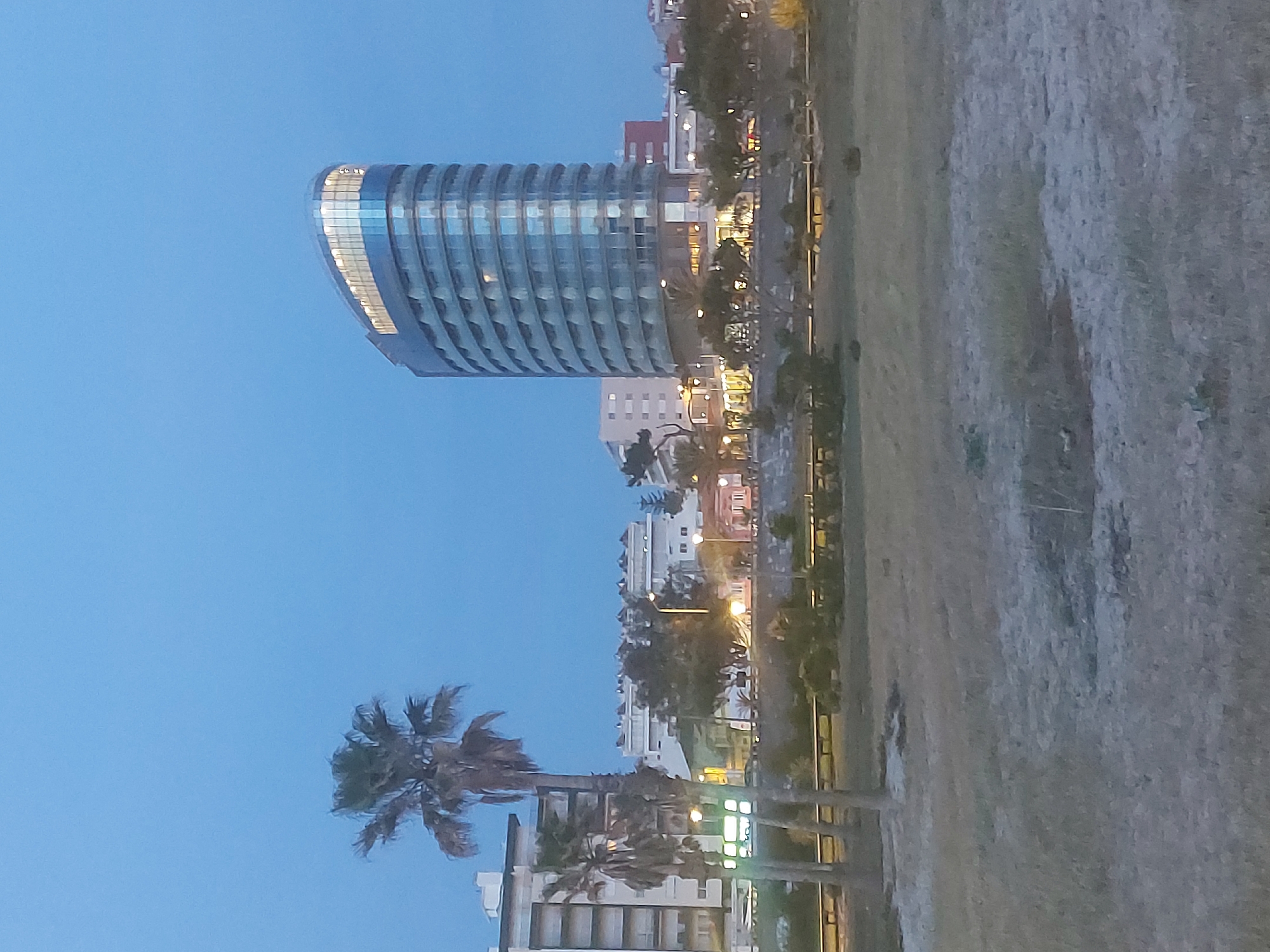 The image shows a cityscape at dusk, likely in Figueira da Foz, Portugal, featuring modern architecture and palm trees. The distinct building is a rounded, cylindrical tower, possibly a hotel, with multiple floors and reflective glass. Lower buildings extend into the background, punctuated by trees and streetlights. In the foreground, palm trees stand tall near residential structures. A green and sandy area, possibly a park or beach, lies to the right. The sky is a light blue, indicative of twilight.