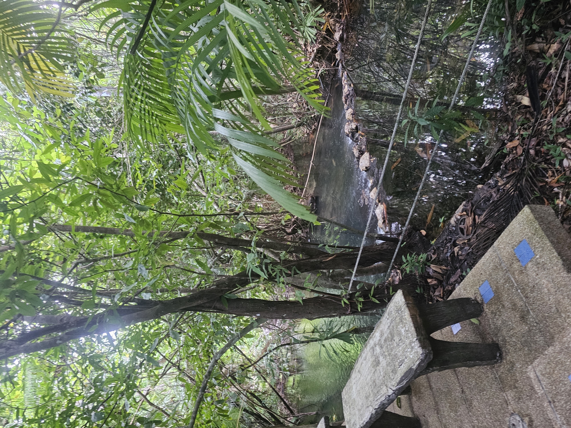 A long shot captures a serene natural scene in Tambon Khlong Thom Nuea, Thailand. In the foreground, a stone bench with a rough texture rests on a paved walkway adorned with small blue tiles. The bench's legs are shaped like tree trunks, adding to the natural aesthetic. Beyond the bench, a narrow river flows gently, bordered by lush green vegetation. The water is calm, reflecting the surrounding trees and foliage. A rope railing runs along the edge of the walkway, separating it from the river. The environment is dense with trees, their branches reaching towards the sky, creating a canopy of green. The overall impression is one of tranquility and natural beauty.