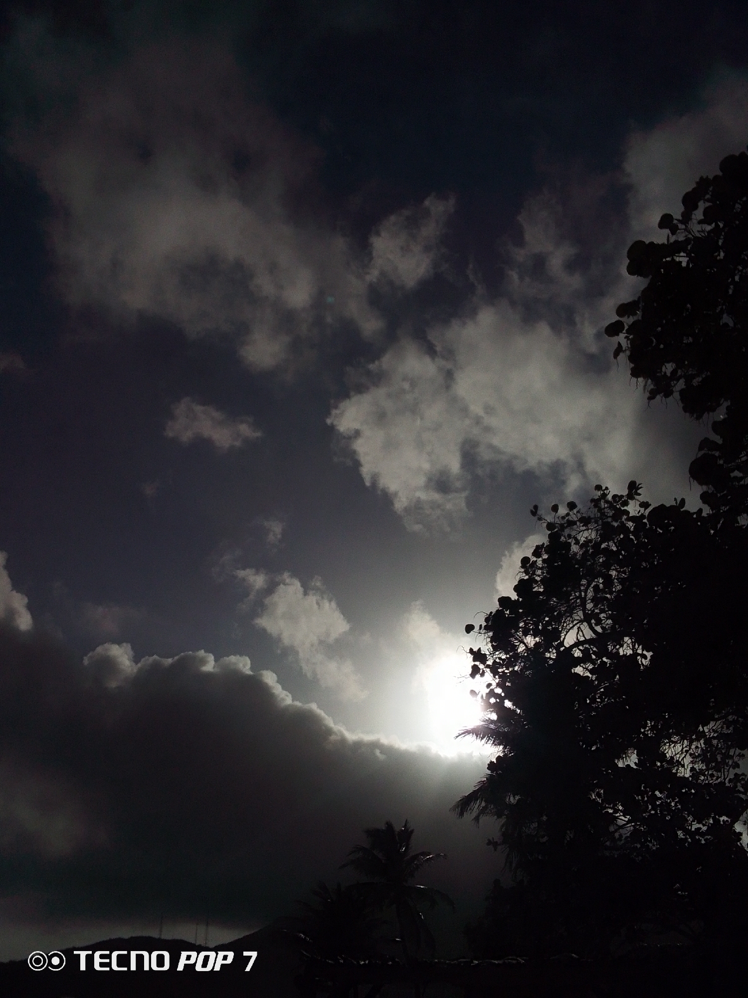 The image captures a dramatic sky in Pedro González, Venezuela. Dark, heavy clouds dominate the sky, but the sun peeks through a gap in the clouds, creating a bright, central focal point. Silhouetted trees are on the right side of the frame and at the bottom with some taller palms behind, adding depth and visual interest. The image appears to have been taken from ground level, looking upward, and the "TECNO POP 7" watermark is visible in the lower left corner. The scene lacks people, focusing instead on the power of the sky and the silhouettes of the vegetation.