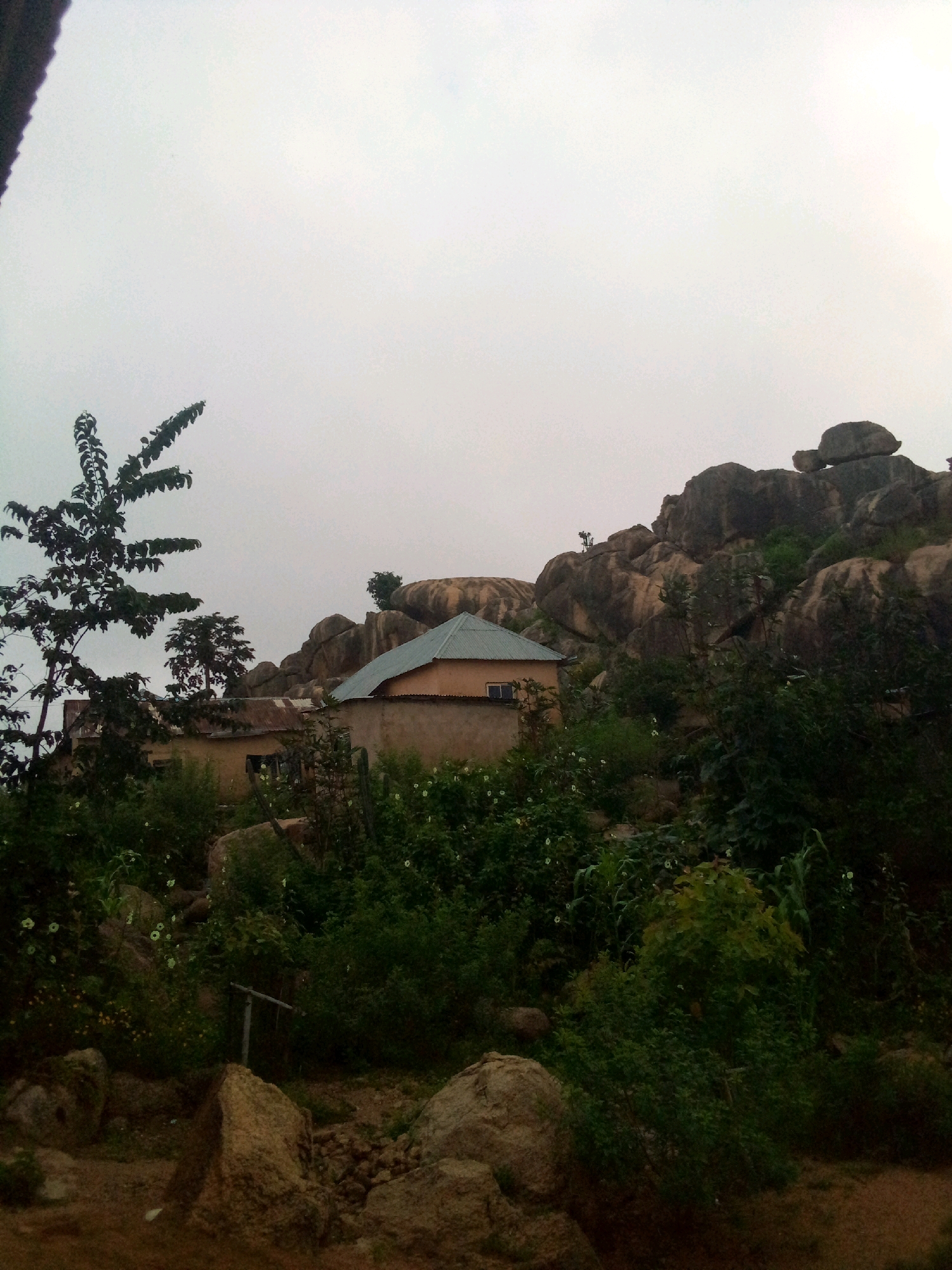 The image depicts a rocky hillside with some vegetation and a building in Jos, Nigeria. The sky is overcast, suggesting a cloudy day. In the foreground, there are large boulders and dense green foliage. A single-story building with a light-colored facade and a metallic, slanted roof is visible among the rocks and trees. Another structure with a corrugated iron roof is partially obscured by vegetation to the left of the main building. A tall tree with a branching structure stands on the left side of the image. The overall environment suggests a somewhat rural or semi-developed area on the outskirts of a city, characterized by its natural rocky topography.