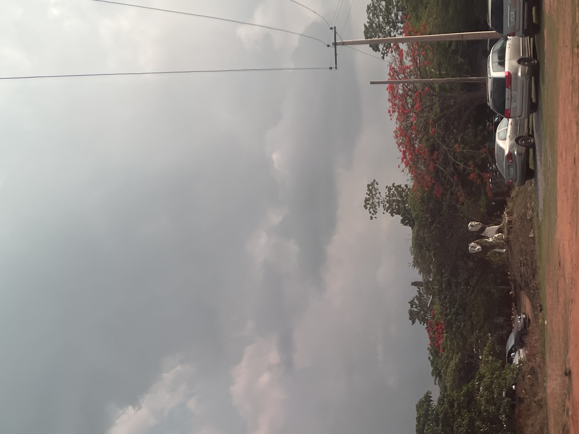 The image depicts an outdoor scene in Galadimawa Village, Nigeria, under a cloudy sky. An electrical pole stands beside a vibrant Flamboyant tree. Parked cars are visible along a dirt road. The foreground consists of a field.