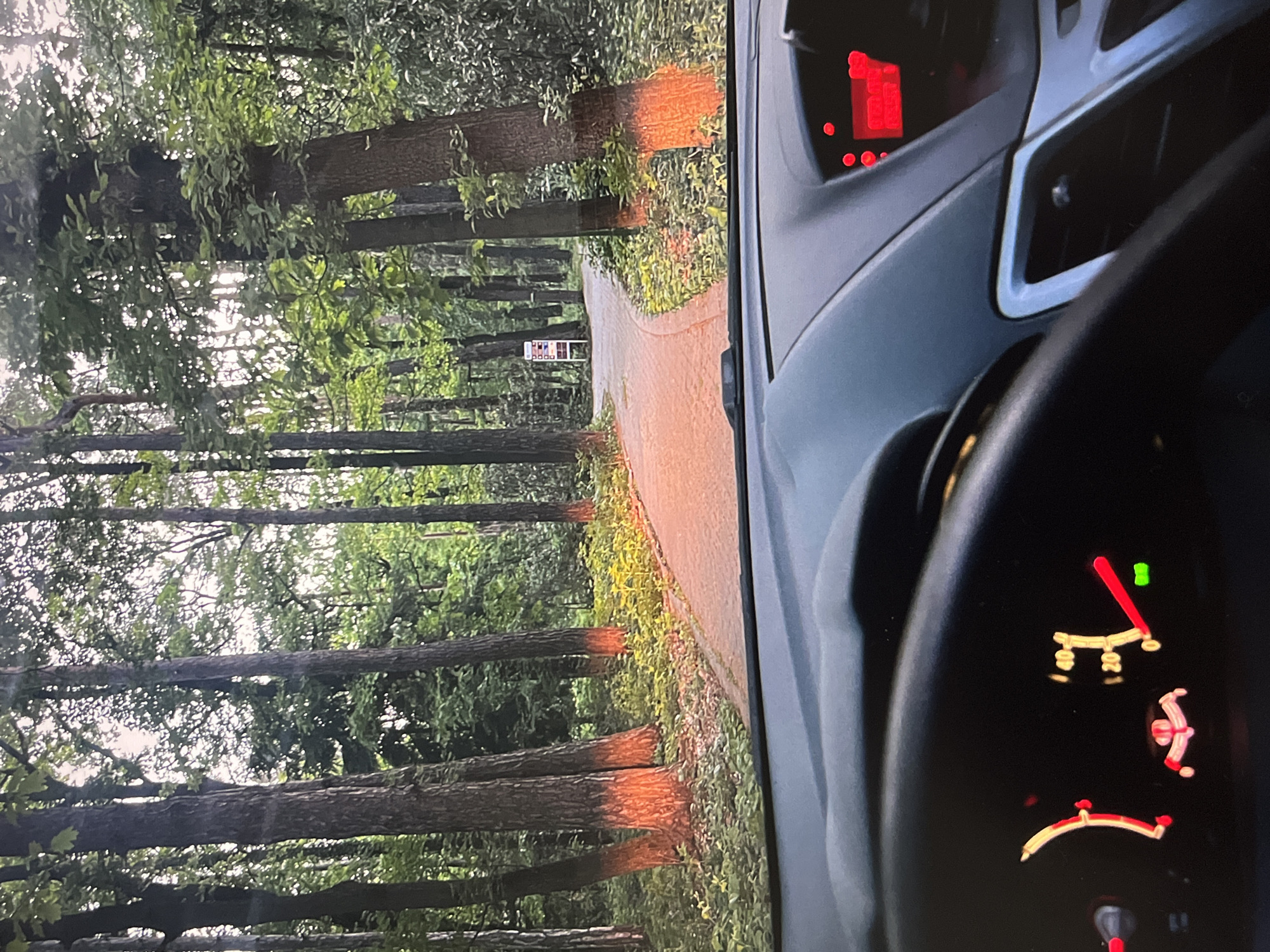 The image shows a view from inside a car, looking out onto a brick road lined with trees. Sunlight is reflecting off the trunks of the trees. A sign is visible in the distance. The car's dashboard is visible, showing gauges for fuel, temperature, and speed. The location is Unknown, Unknown.