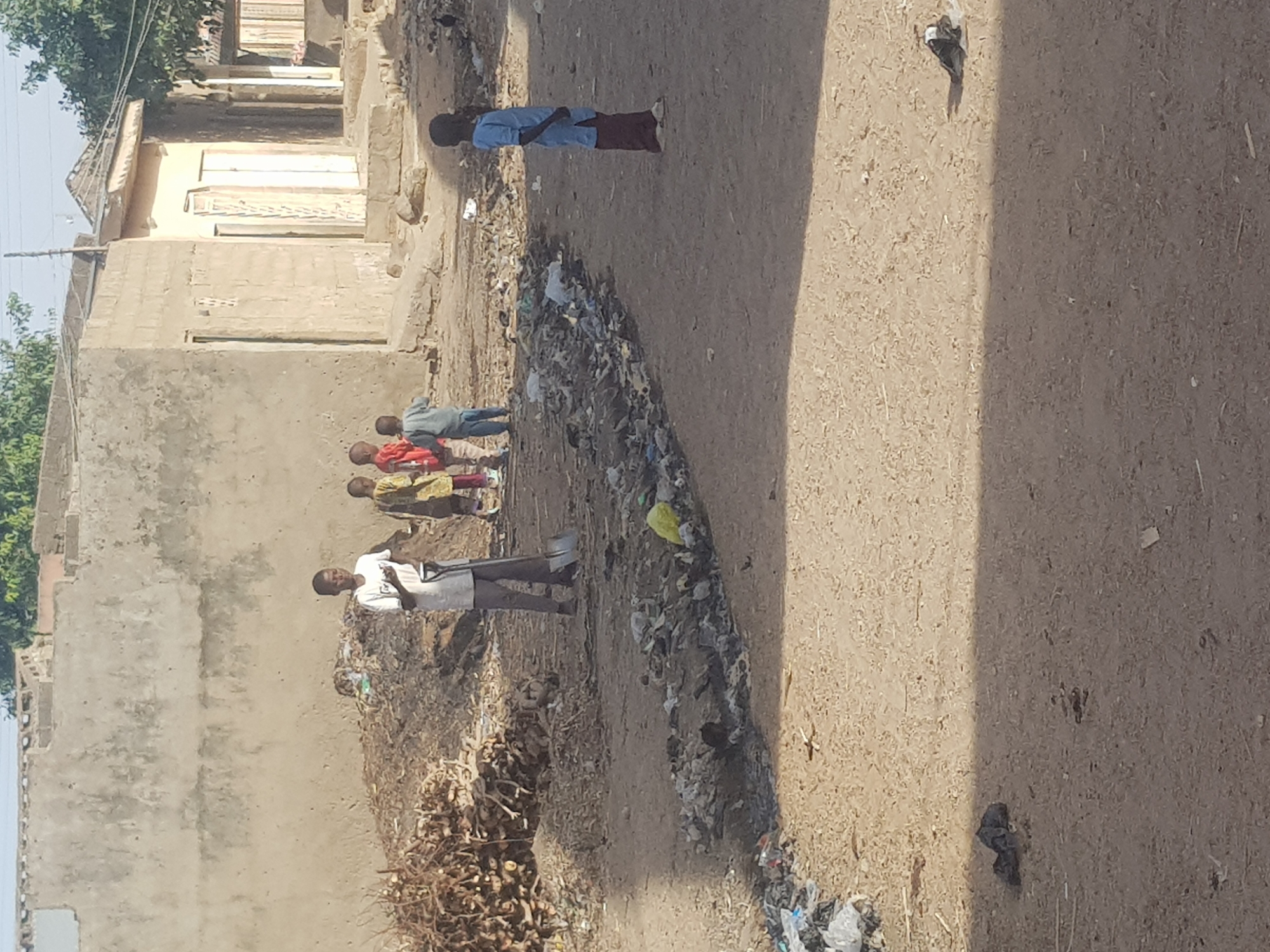 The image depicts an outdoor scene in what appears to be a street in Dutsinma B, Nigeria. Five children are visible. One child is wearing a blue shirt and reddish-brown pants and is walking further away from the camera, while the others are closer to the camera. The remaining children are wearing clothing of different colors.
The environment includes a dirt road or path, with building structures on one side. Debris and litter are along the roadside. A pile of cut branches is in the lower left corner.