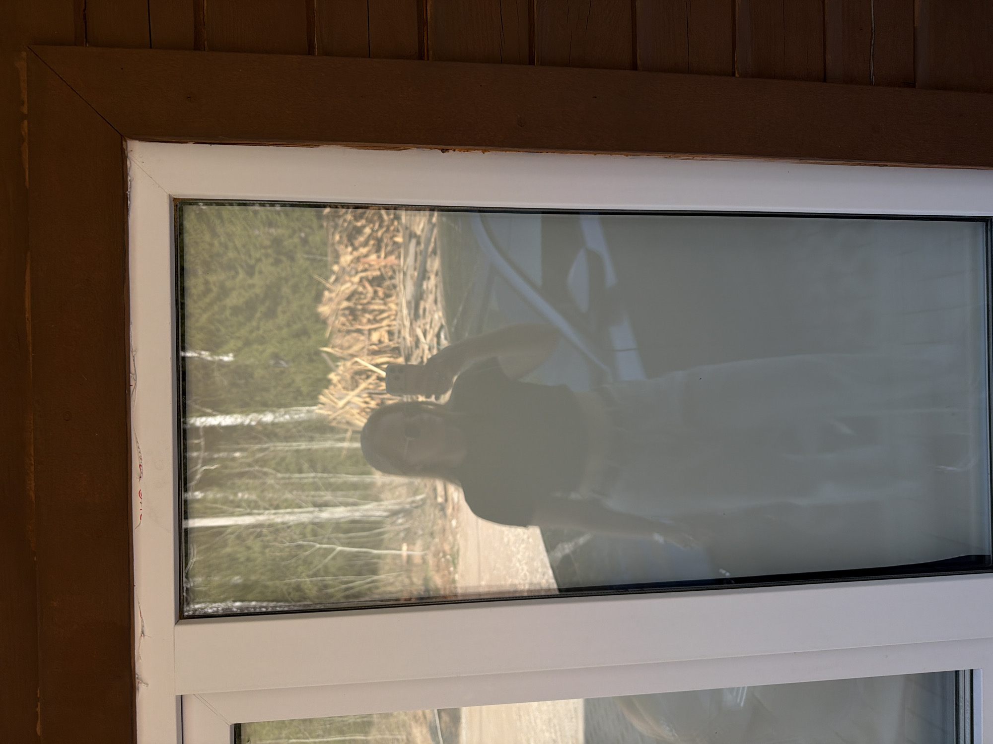 A window is reflecting a person holding a cell phone, trees without leaves, and a pile of logs. The window has a white frame and is set in a brown-painted wooden wall. The location may be Kamennoye, Russia.
