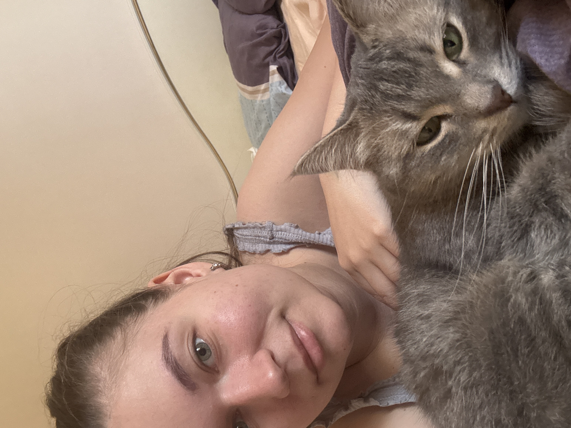 A selfie-style photograph shows a woman lying down with a gray cat. The woman has fair skin, light-colored eyes, and dark hair. She is wearing a gray top. The gray cat is positioned close to her face, partially obscuring her. The background includes a light-colored wall and bedding. The location, Chaikovsky, Russia, cannot be forensically confirmed from visual information.