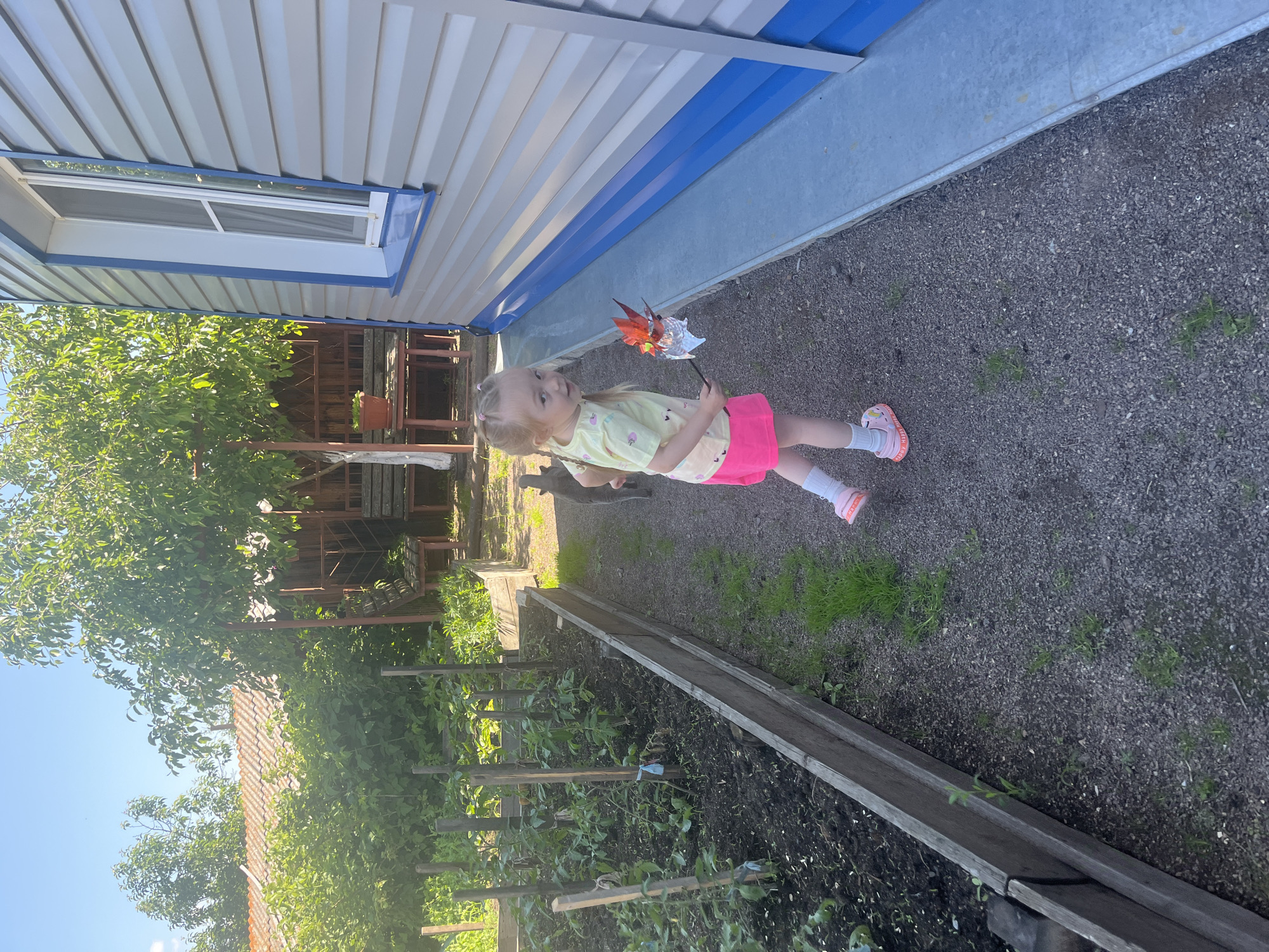 A young girl, appearing to be Caucasian with blonde hair in pigtails, stands in an outdoor, residential area, holding a pinwheel. She is wearing a light yellow t-shirt with a graphic print, a bright pink skirt, white socks, and pink slide-on sandals. She is looking back over her shoulder towards the camera. Behind her and to her left is a raised garden bed filled with green plants and stakes. To her right is the side of a light gray building with blue trim and a white-framed window. The ground is covered in gravel and some patches of grass. In the background, to the left, is a residential building with a tiled roof and dense green foliage. To the right, in the background, is a wooden gazebo structure with benches. The scene suggests a sunny day, likely in a suburban or rural setting. The specific location in Shadrinsk, Russia, is suggested by contextual information.