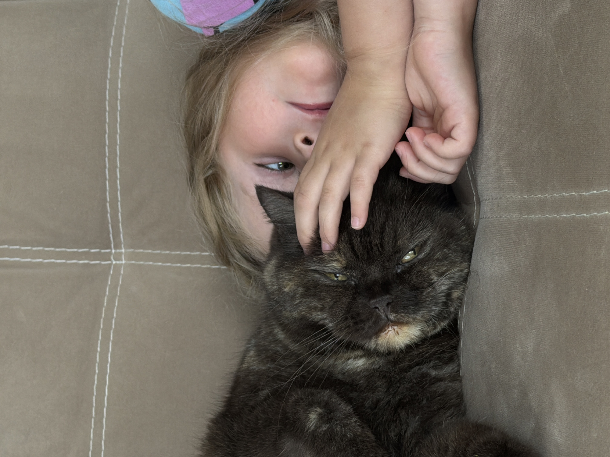 A close-up, overhead shot shows a young Caucasian child with blonde hair lying on a beige couch next to a grey cat. The child's head is tilted to the side, with one hand resting near the cat's head. The cat is also lying on its side, facing the camera with its eyes partially open. The couch has stitched seams visible in the background.