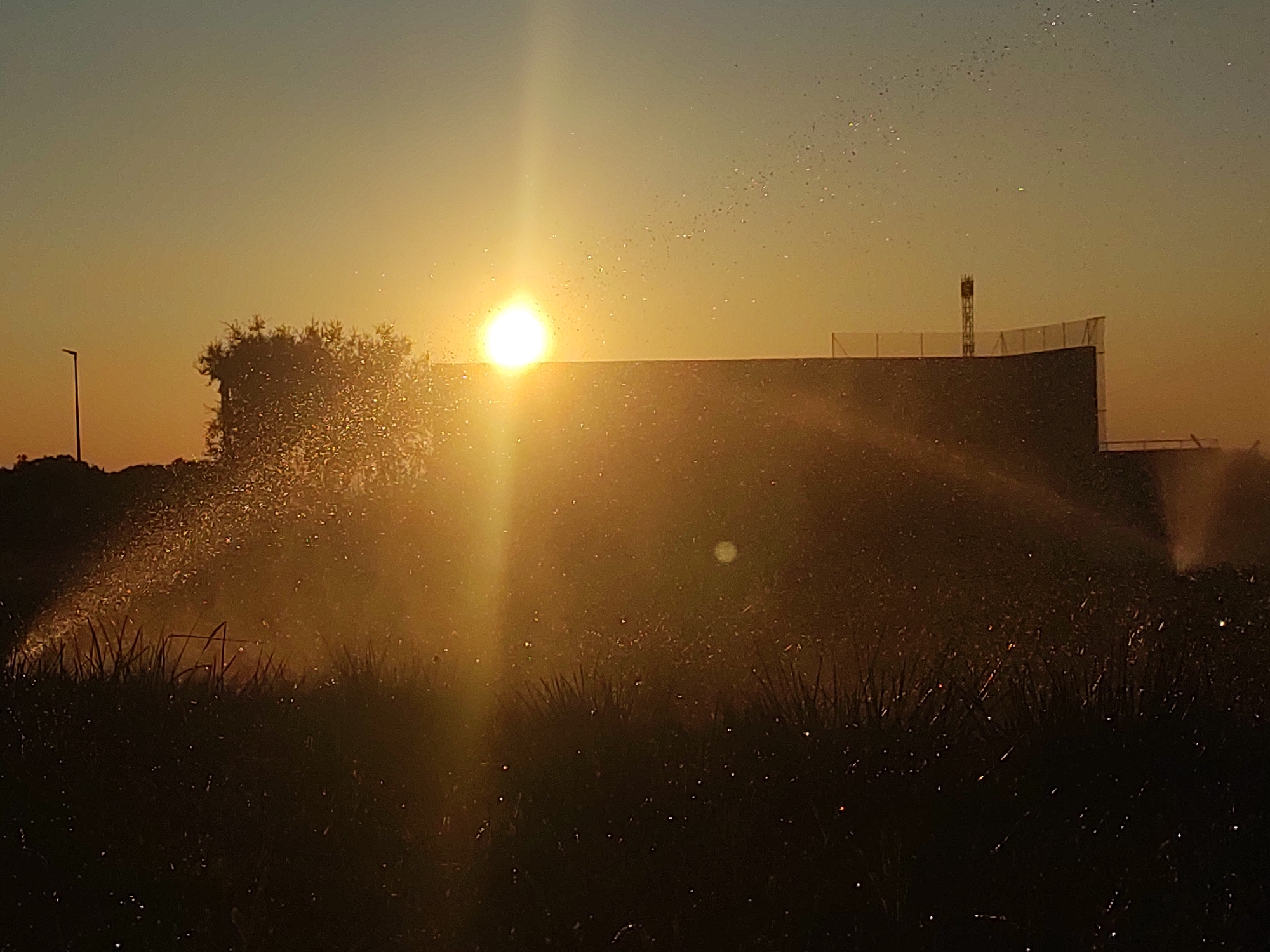 This image captures a sunset over a field with a sprinkler system in operation. The sun, a bright orb, is low on the horizon, casting a warm, golden light that silhouettes the surrounding landscape. In the foreground, dark grass and vegetation are illuminated by the sunset, with numerous water droplets suspended in the air, appearing as tiny specks of light. A sprinkler arm is visible on the left, actively spraying water, contributing to the misty effect. In the mid-ground, a large, dark, flat-topped structure, possibly a building or a constructed wall, stretches across the frame. On top of this structure, a tall, slender tower with a lantern-like fixture stands, suggesting it might be a communication tower or a light post. A fence with netting encloses the top of the structure. In the background, a cluster of trees is visible to the left, also silhouetted against the sky. The sky transitions from a pale blue at the top to a warm yellow and orange near the horizon, a typical characteristic of a sunset. The overall scene suggests an agricultural or industrial area on the outskirts of Sobradillo, Spain, where the setting sun dramatically interacts with the water being sprayed across the fields.