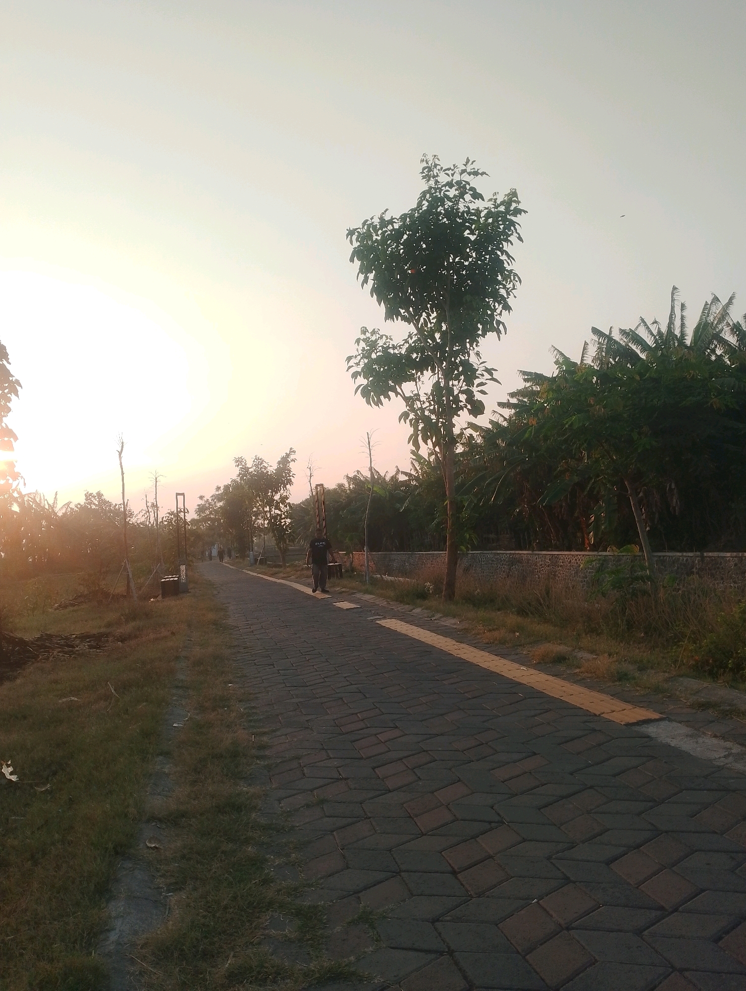 The image shows a paved walkway in a park-like setting at sunset. The walkway is made of dark rectangular pavers arranged in a diamond pattern. On the left side of the walkway, there is dry grass, a few trees, and some wooden posts with lights. On the right side, there is a stone wall and dense vegetation, including what appear to be banana trees. The sun is setting on the left, casting a warm glow over the scene. A man in a black t-shirt and gray pants is walking away from the camera on the walkway. The location is in Probolinggo, Indonesia.