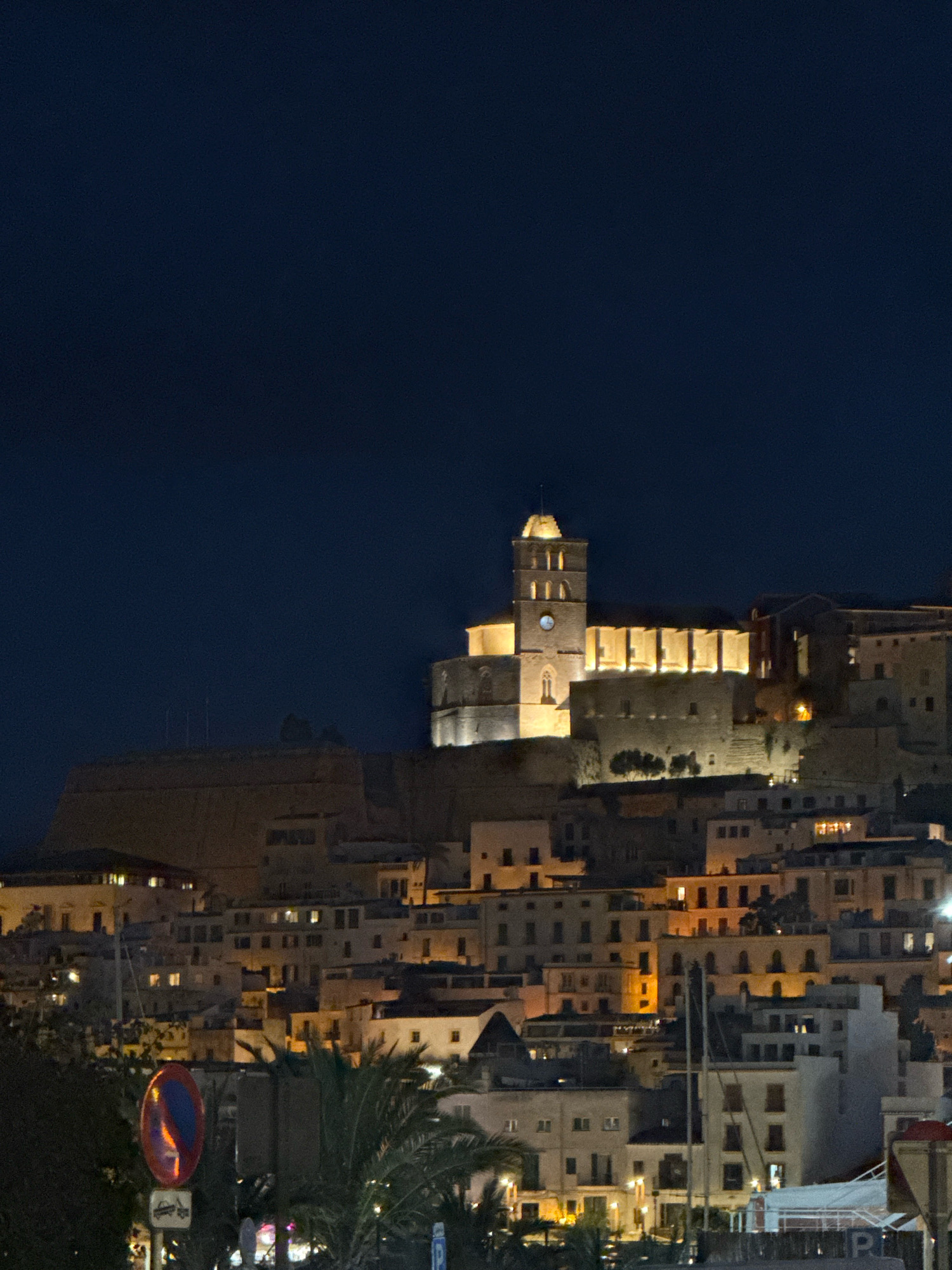 The image is a nighttime long shot of the city of Ibiza, Spain. The focus is on the historic Dalt Vila, a UNESCO World Heritage site, which is illuminated against the dark night sky. The foreground is dominated by the dark silhouette of palm trees and a traffic sign. In the middle ground, a dense cluster of buildings with lit windows cascades down a hill. The prominent structure in the upper middle ground is a large, brightly lit cathedral or church with a tall bell tower. The architectural style appears to be a mix of medieval and baroque influences. The overall scene conveys a sense of a historic European city at night, with a strong emphasis on illuminated architecture.
